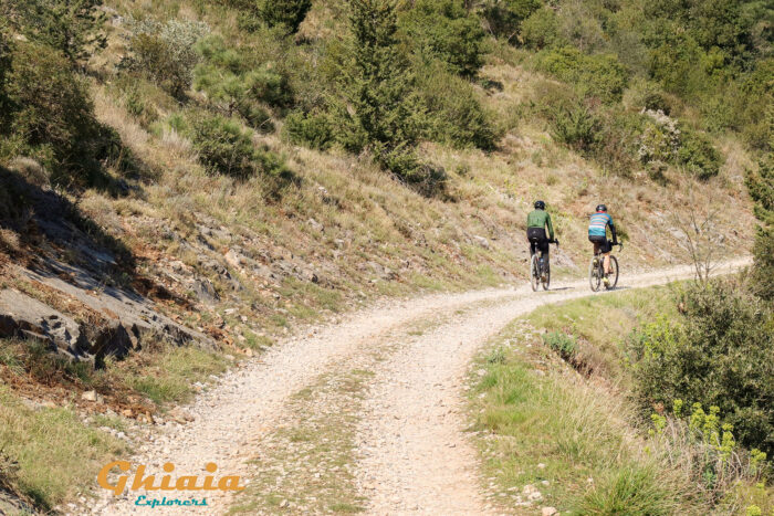 La Divina Gravellata