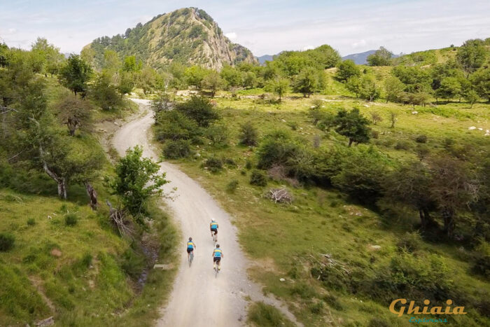 Double Trouble Trail