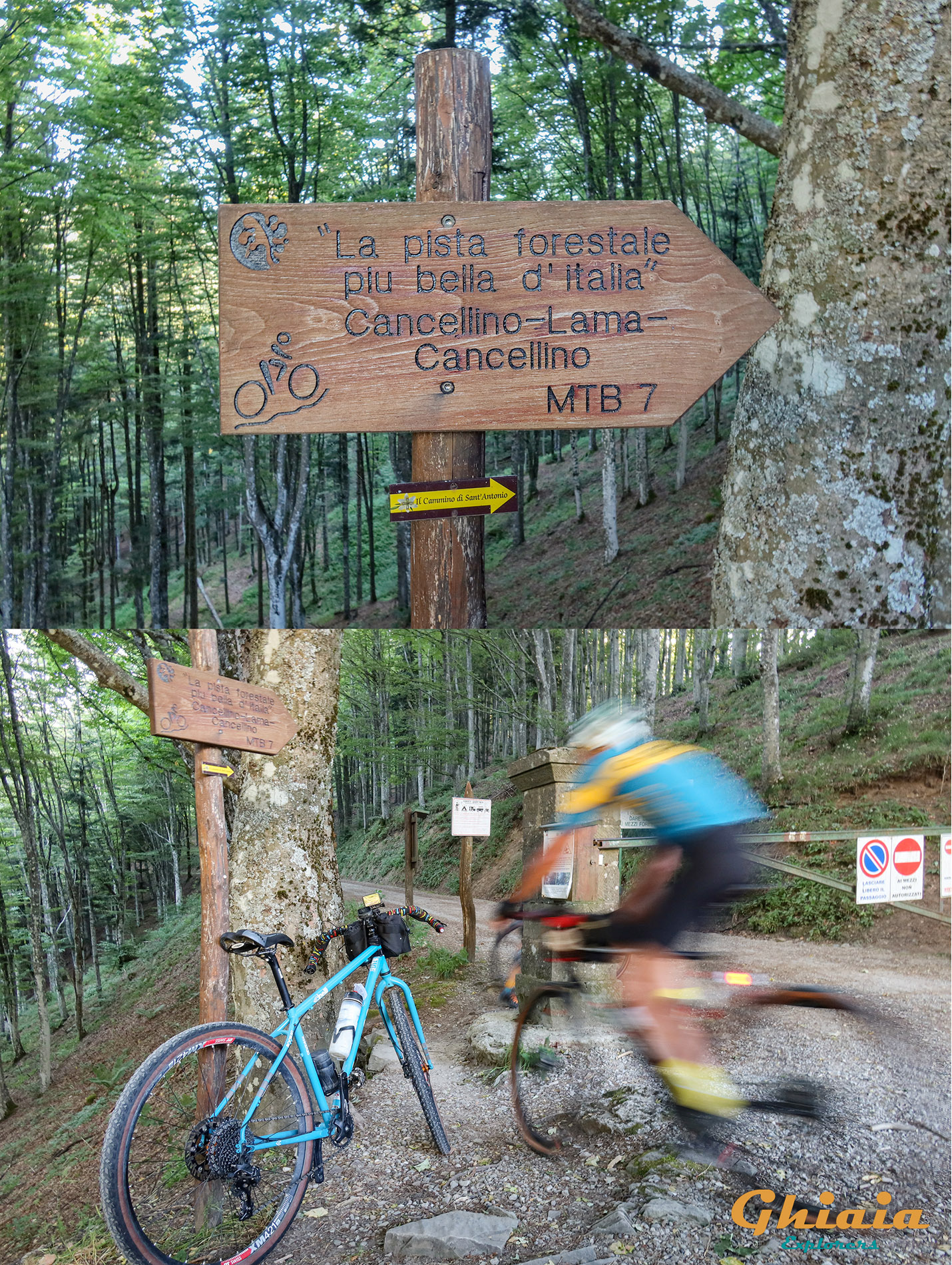 Il Grandioso Anello di Ridracoli Trail - gallery - photo 2