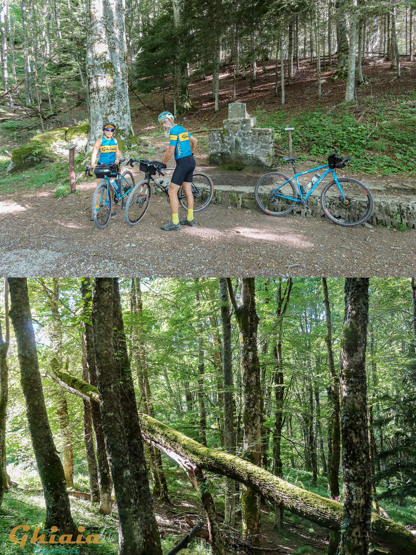 Il Grandioso Anello di Ridracoli Trail - gallery - photo 4