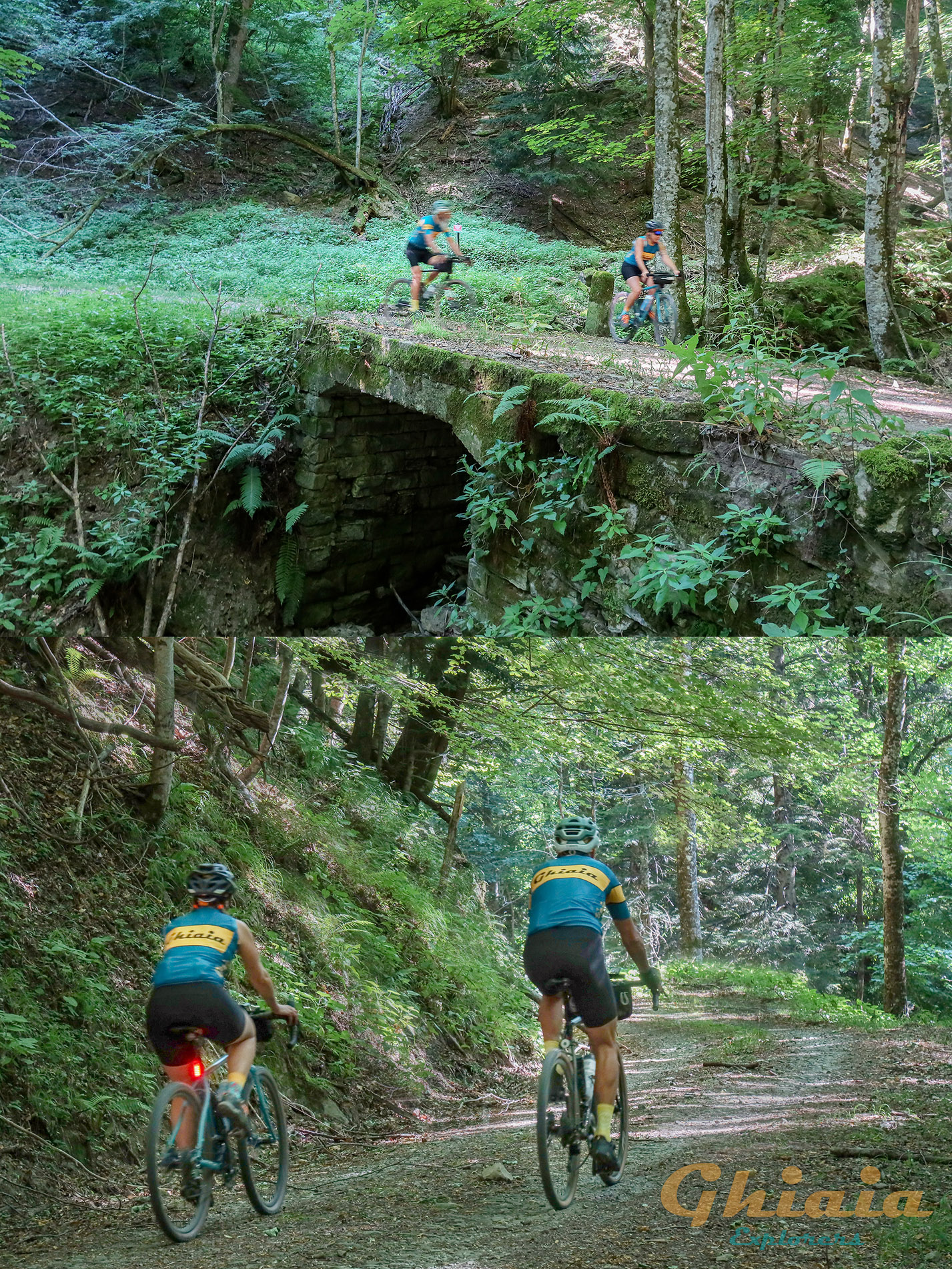Il Grandioso Anello di Ridracoli Trail - gallery - photo 7