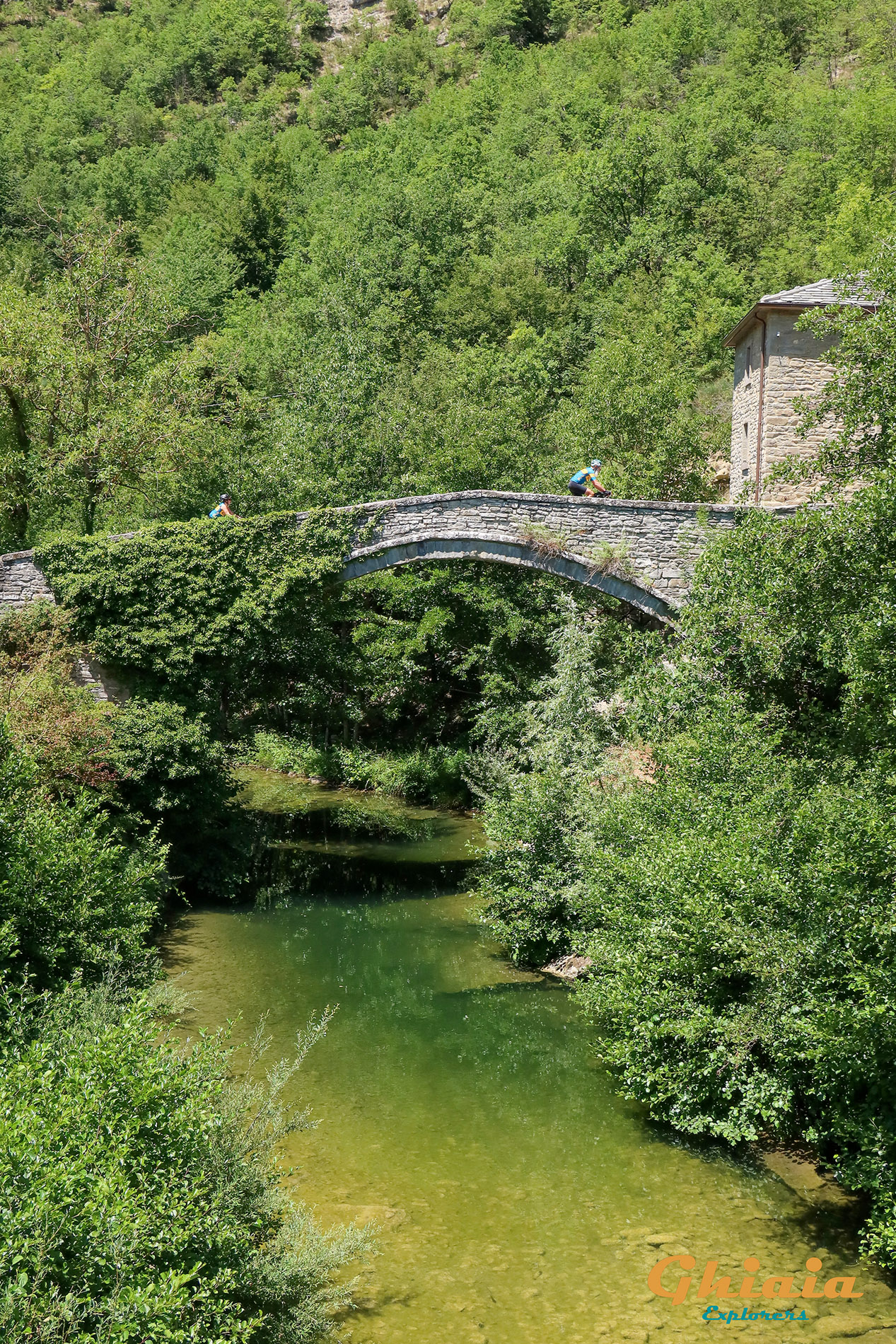 Il Grandioso Anello di Ridracoli Trail - gallery - photo 18