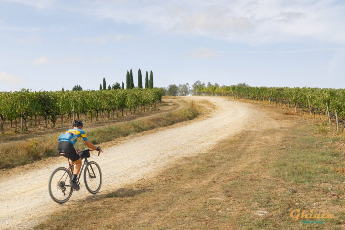 Il Chianti Scorre nelle Vene