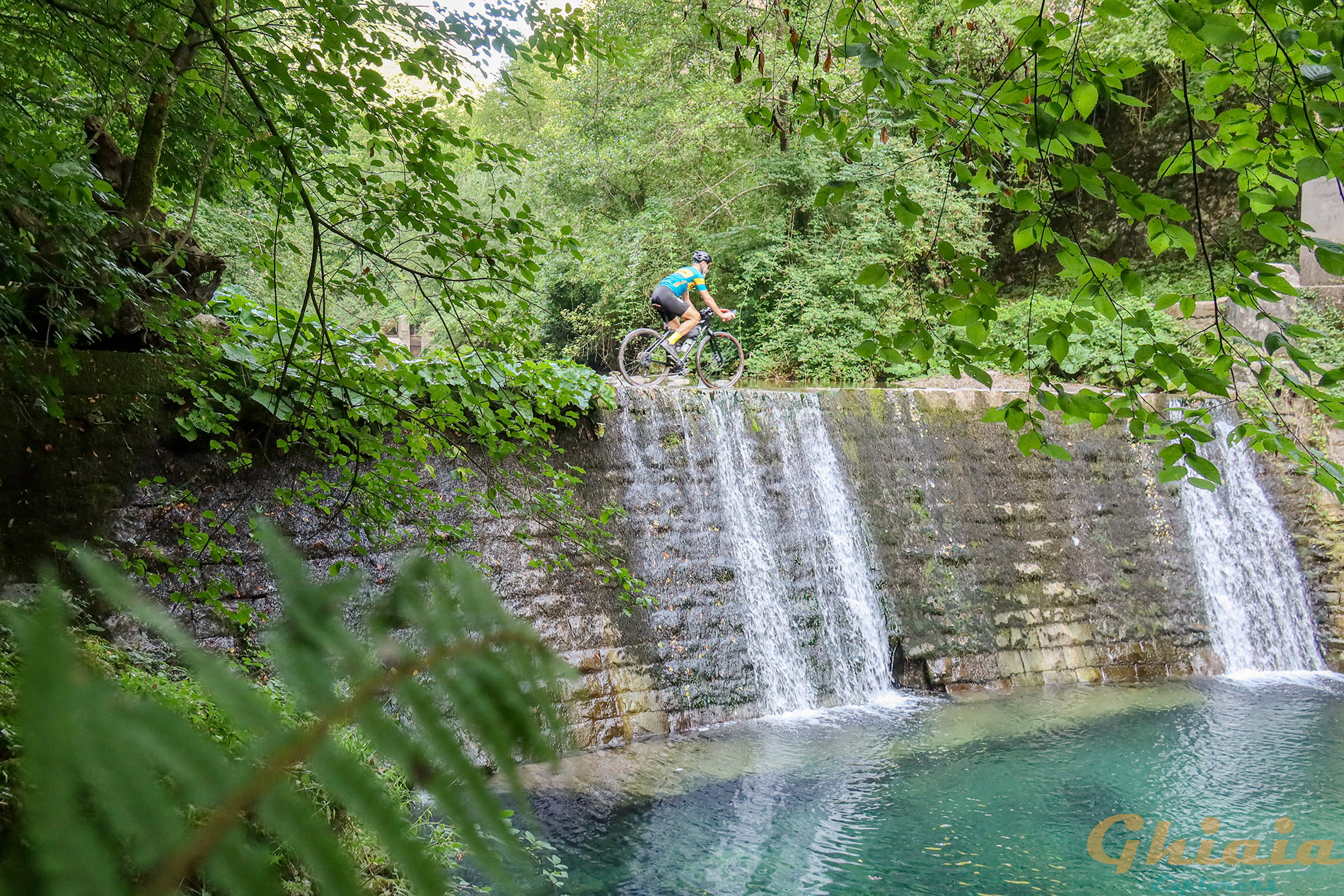 Volto Santo Express - gallery - photo 5