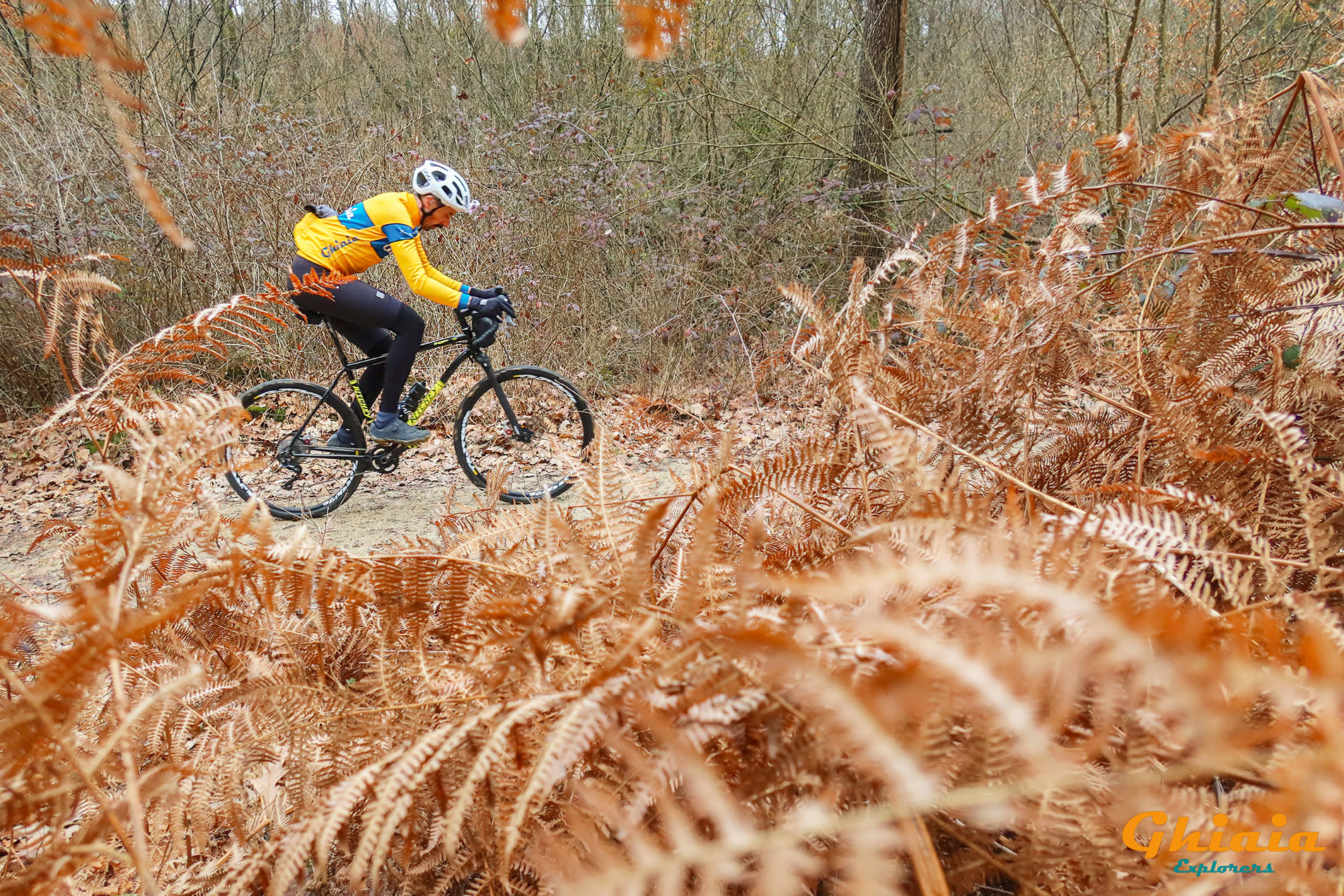 Quercia delle Streghe Trail - gallery - photo 2