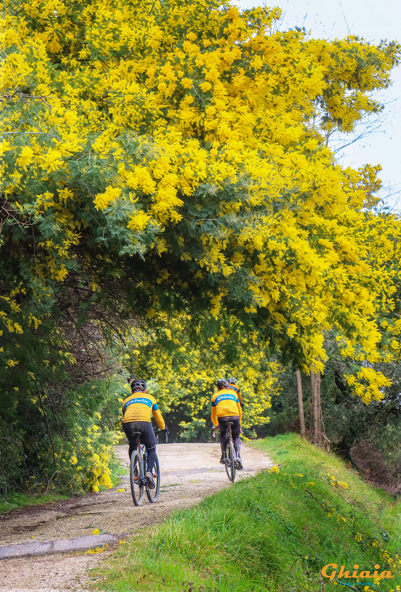 Quercia delle Streghe Trail - gallery - photo 8
