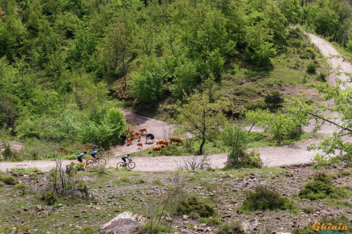 Dieci Castella Trail