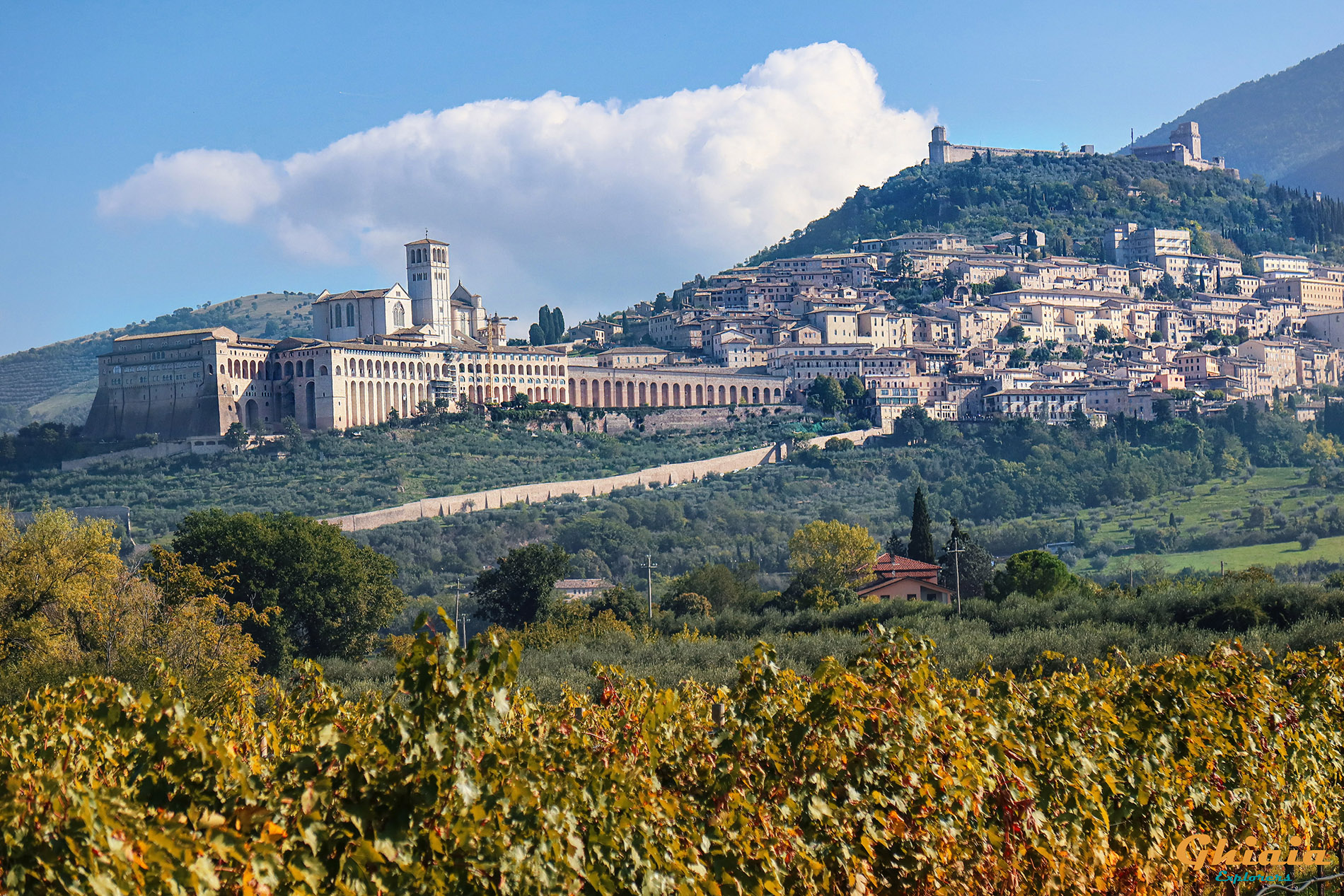 Francesco Trail - gallery - photo 44