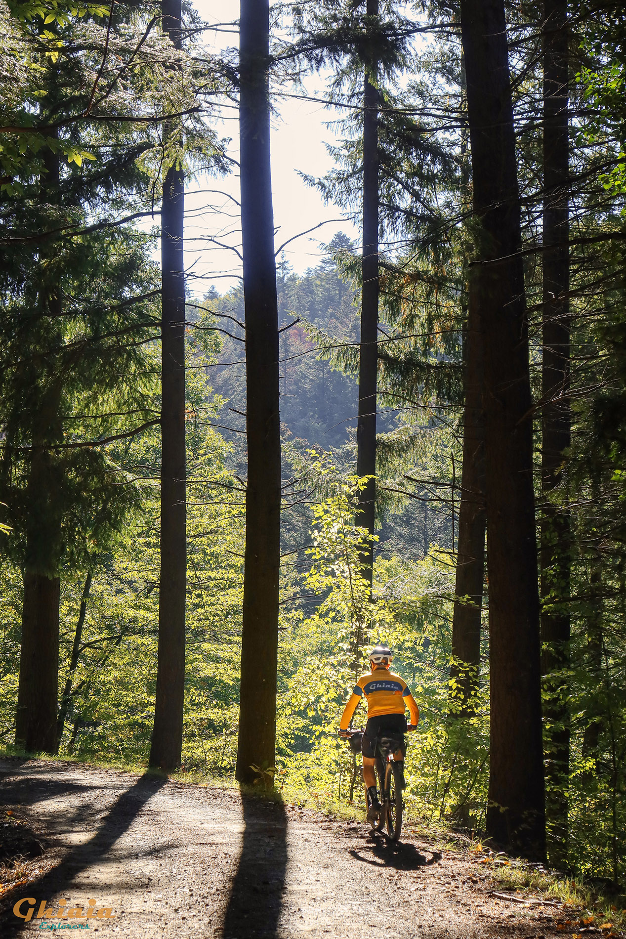 Francesco Trail - gallery - photo 9
