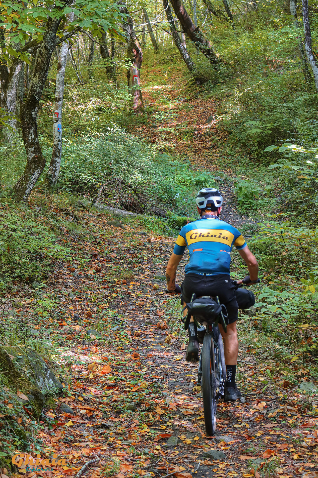 Francesco Trail - gallery - photo 15