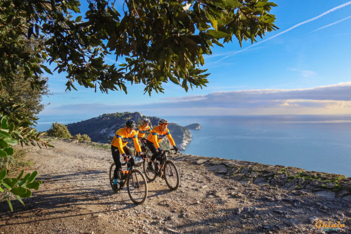 Le 10 Terre Express Trail