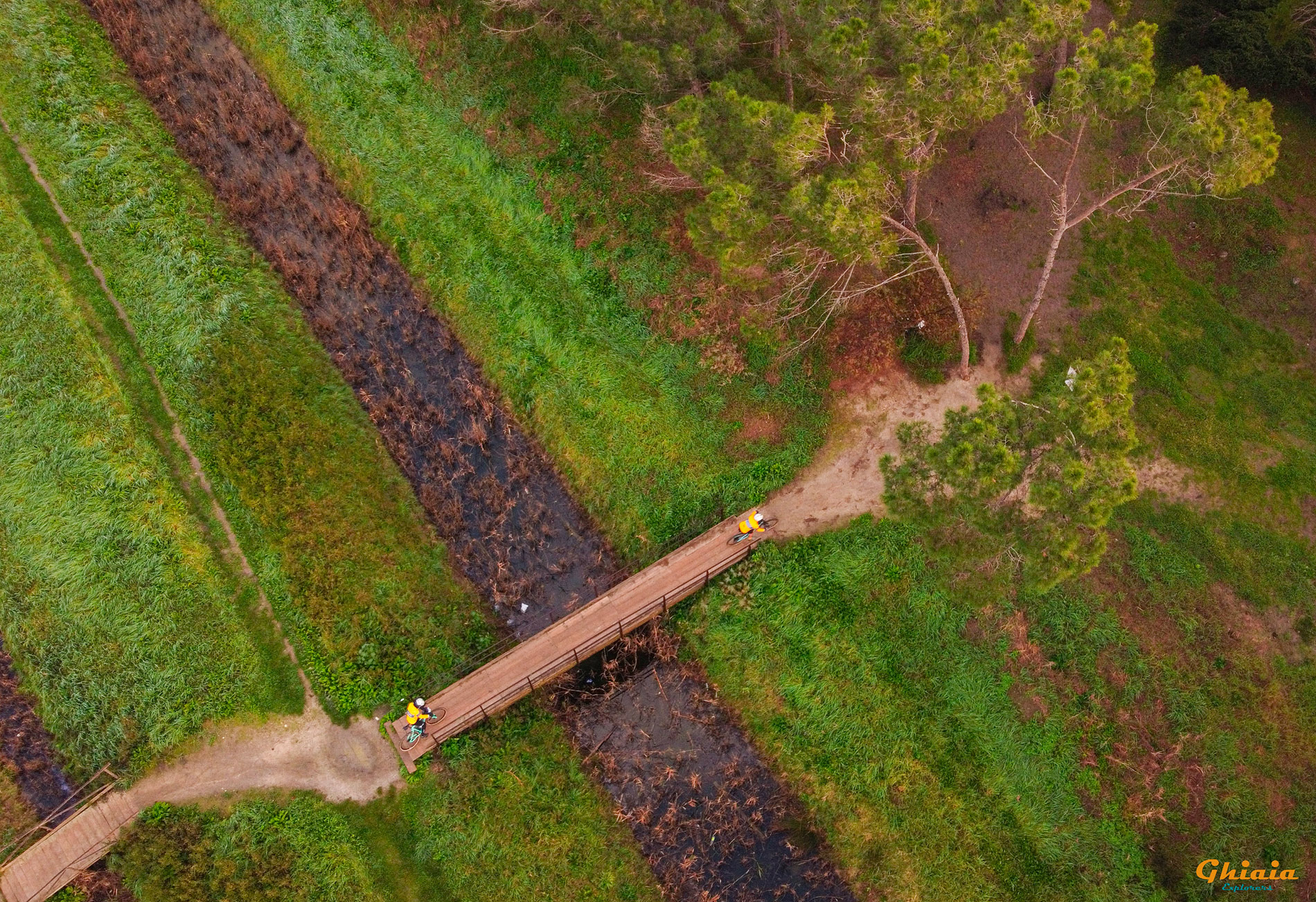 Canyon Trail - gallery - photo 5