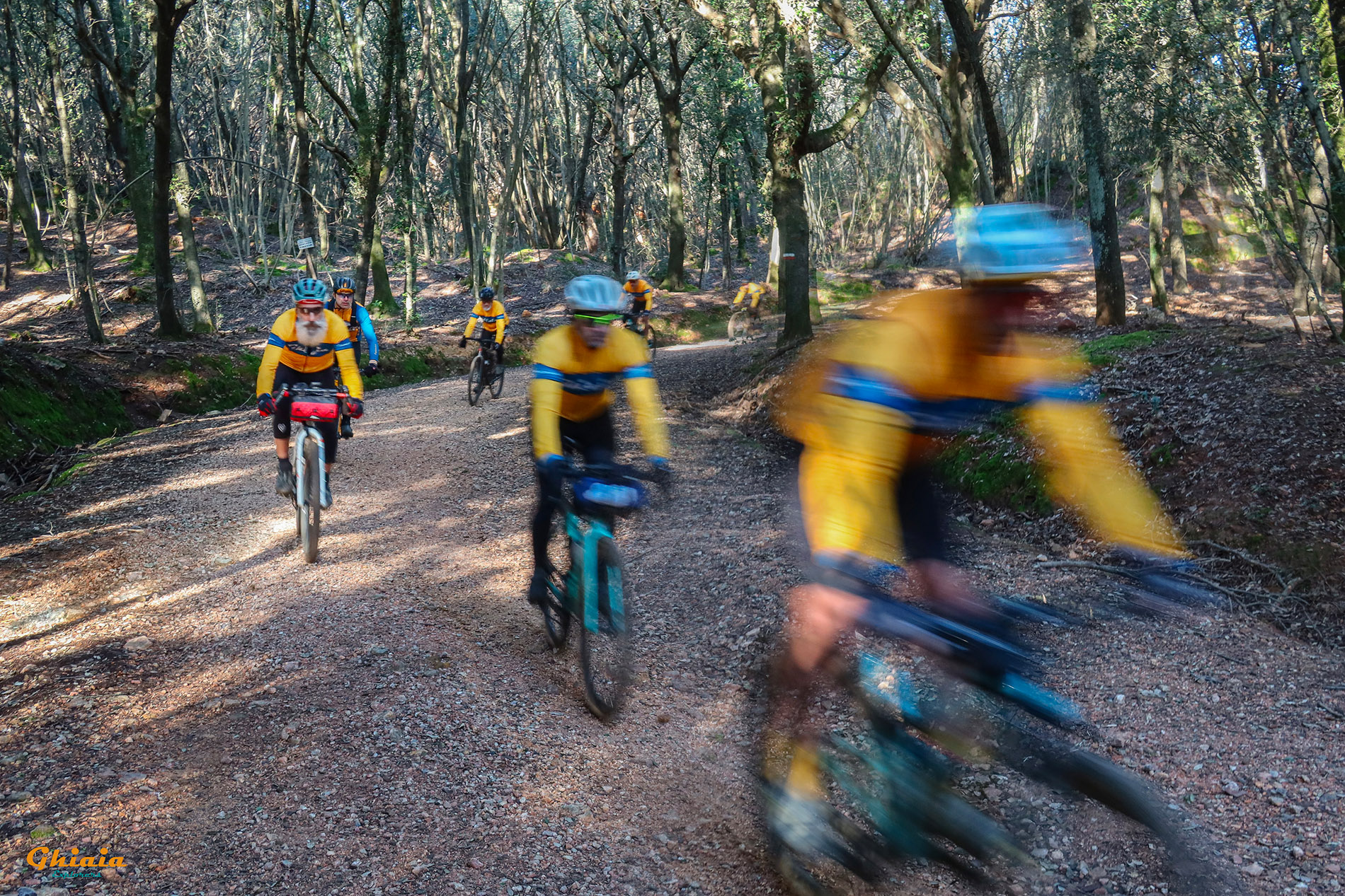 Canyon Trail - gallery - photo 10