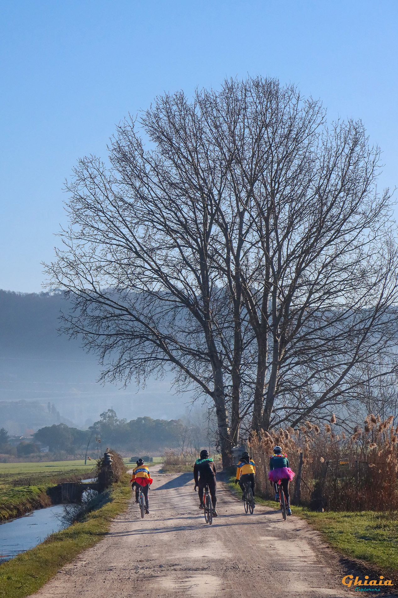 Carnevale Trail - gallery - photo 2