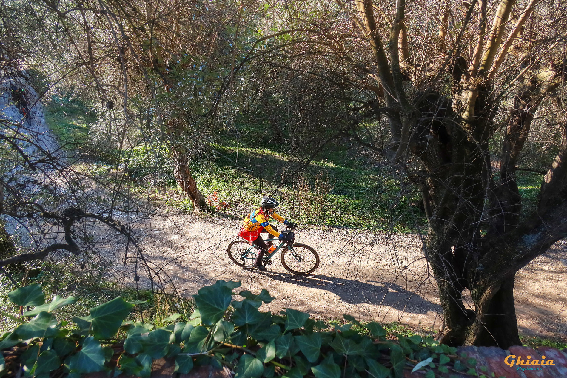 Carnevale Trail - gallery - photo 5