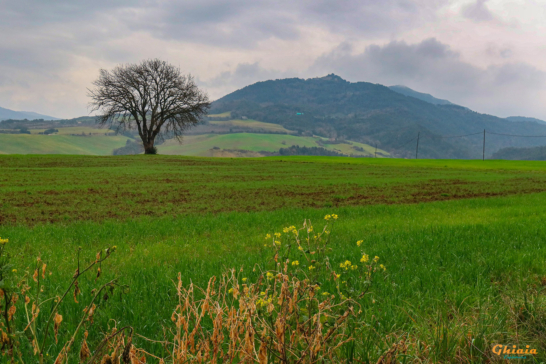 I 5 Borghi Trail - gallery - photo 7