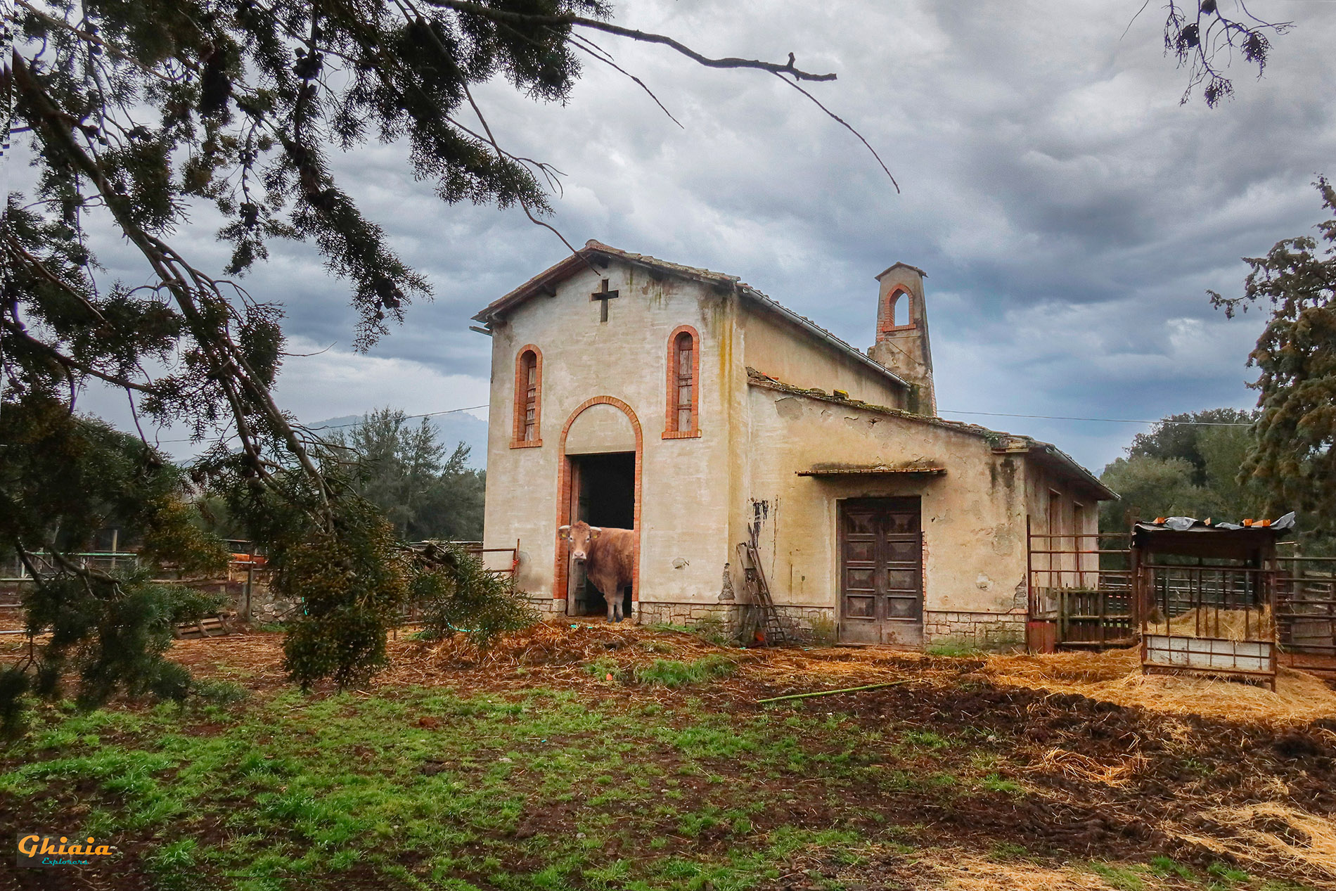 I 5 Borghi Trail - gallery - photo 8