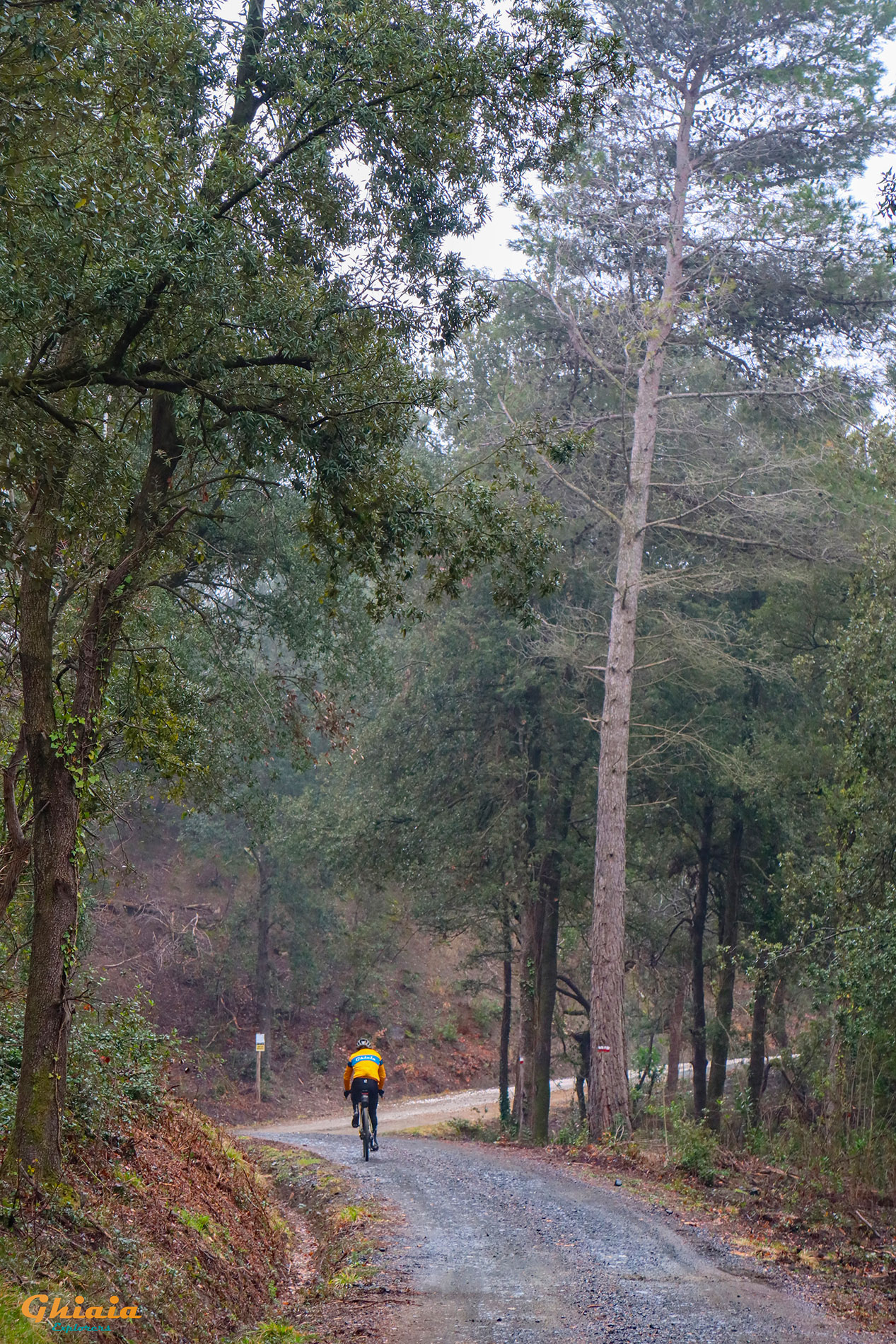 I 5 Borghi Trail - gallery - photo 11