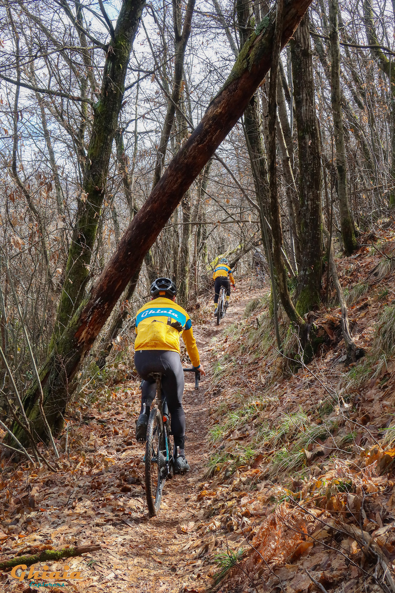 Brancoli Trail - gallery - photo 19