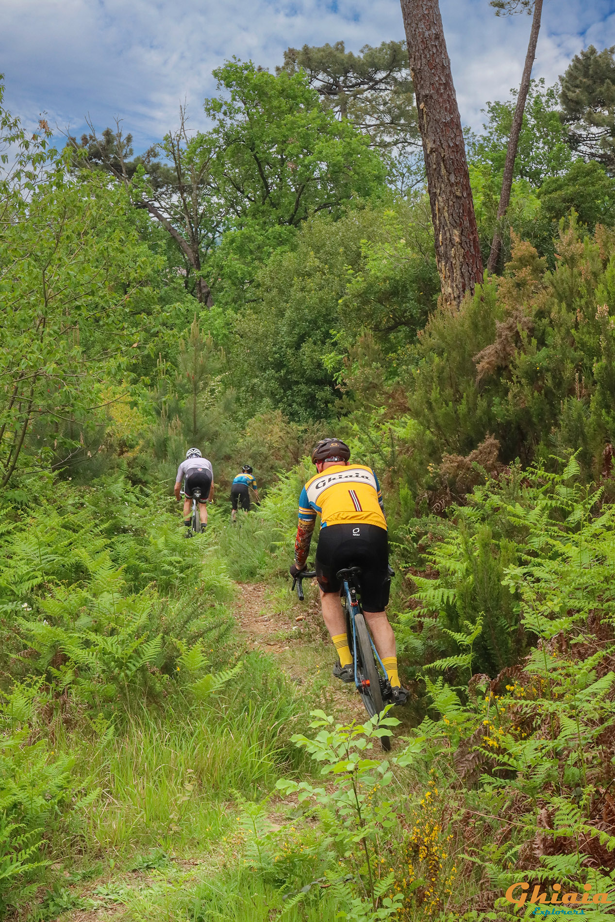 Monte Pisano Round Trail - gallery - photo 21