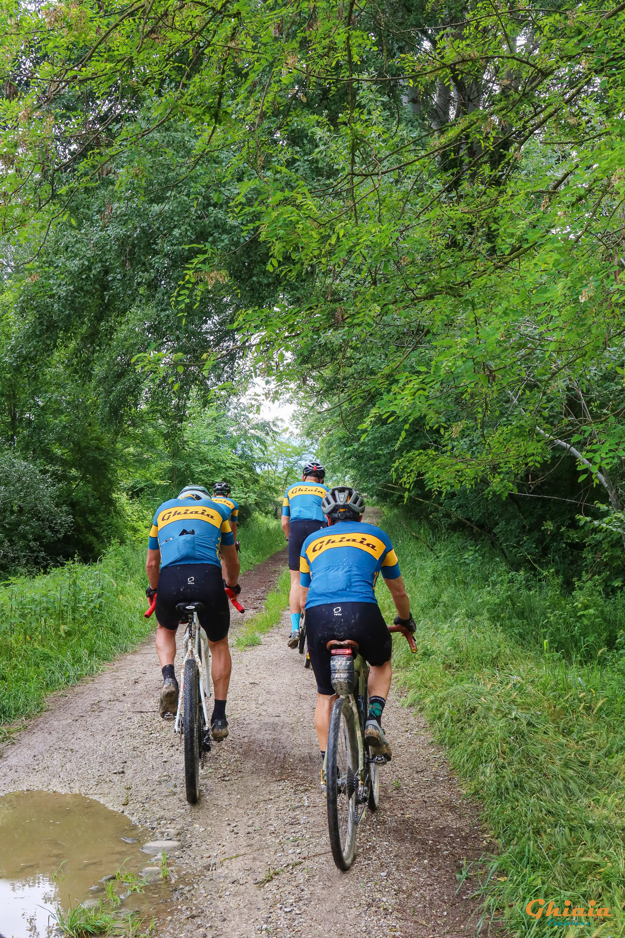 Padule di Fucecchio round Trail - gallery - photo 8