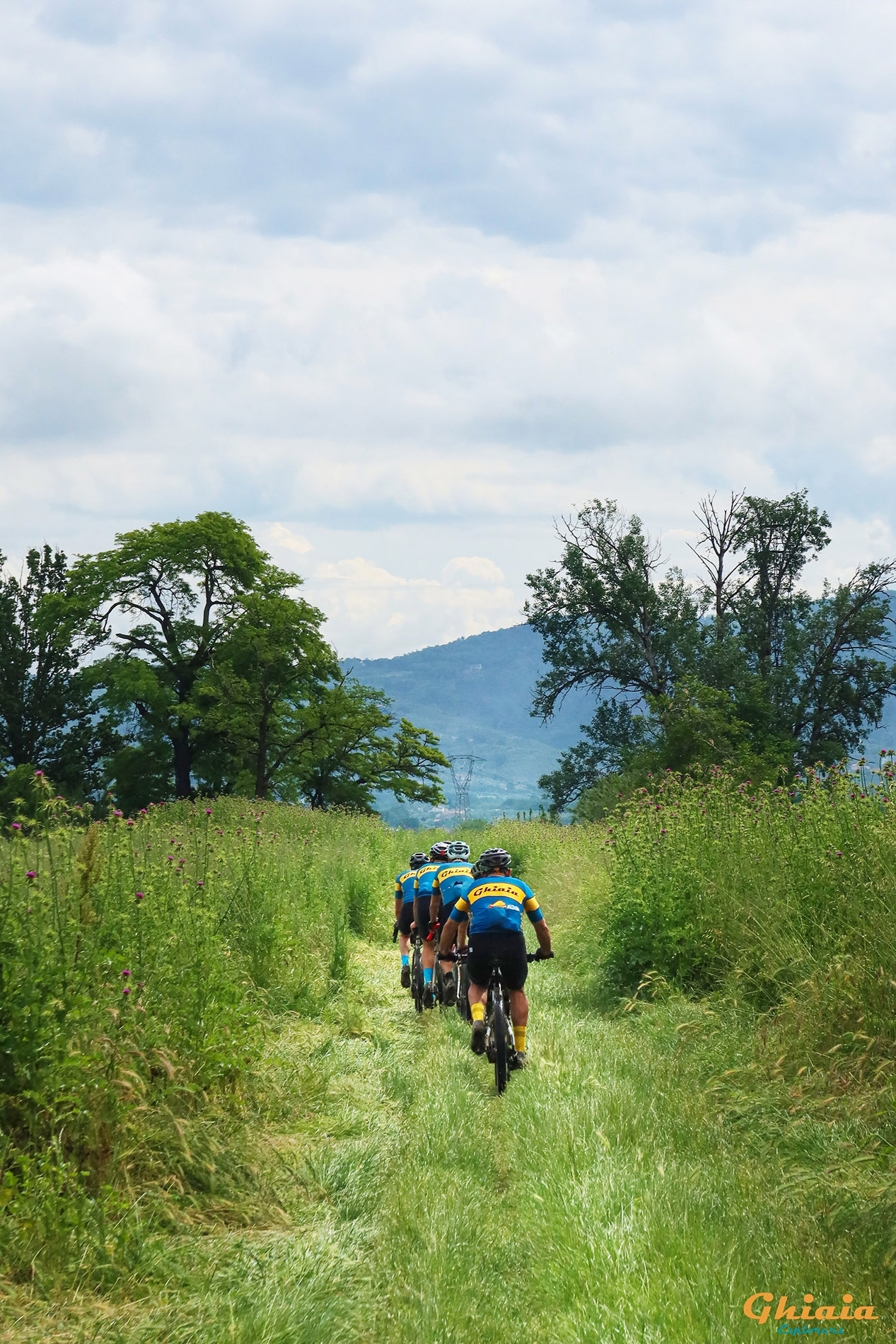 Padule di Fucecchio round Trail - gallery - photo 9