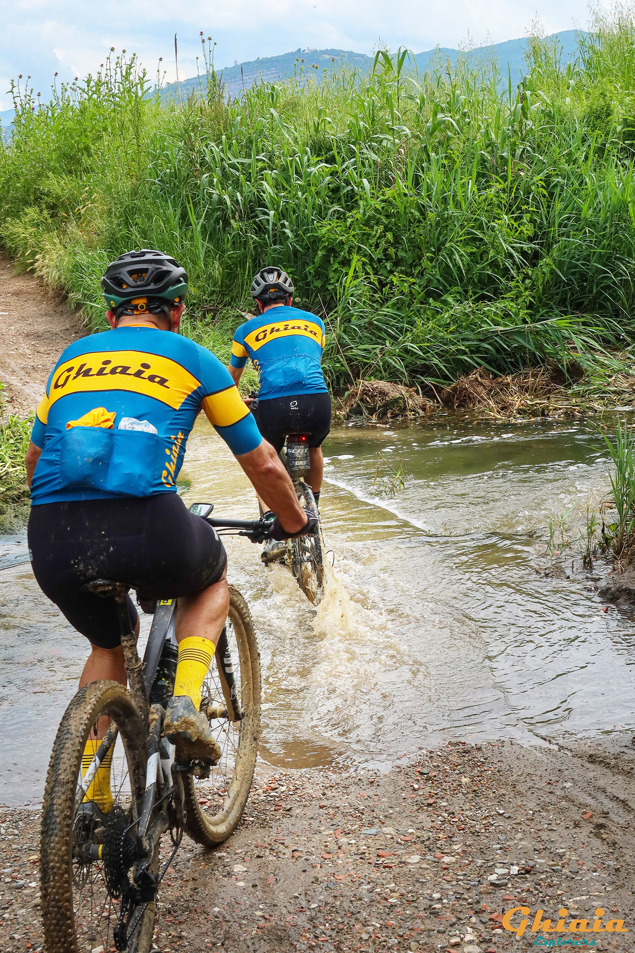 Padule di Fucecchio round Trail - gallery - photo 10