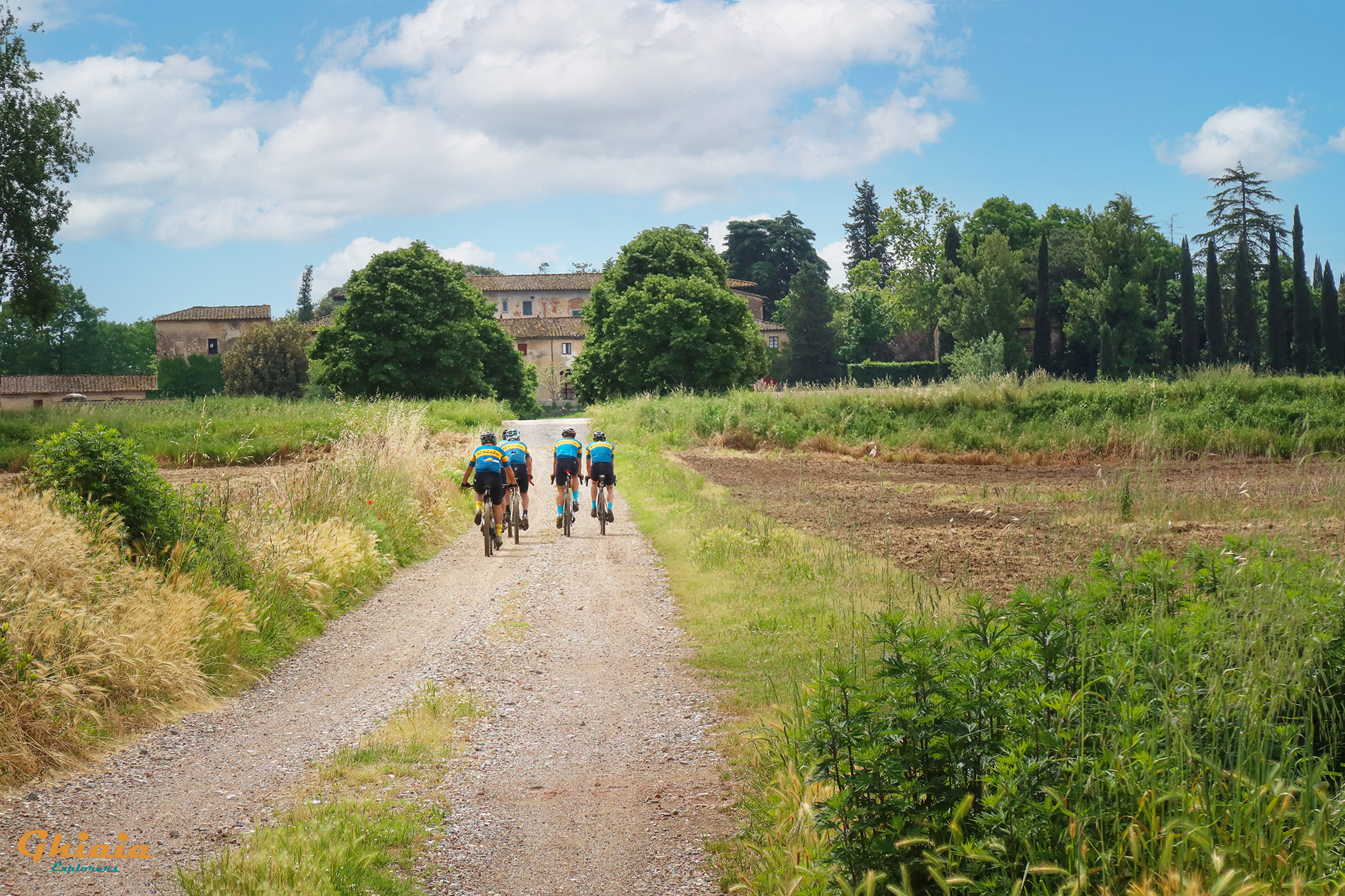 Padule di Fucecchio round Trail - gallery - photo 12