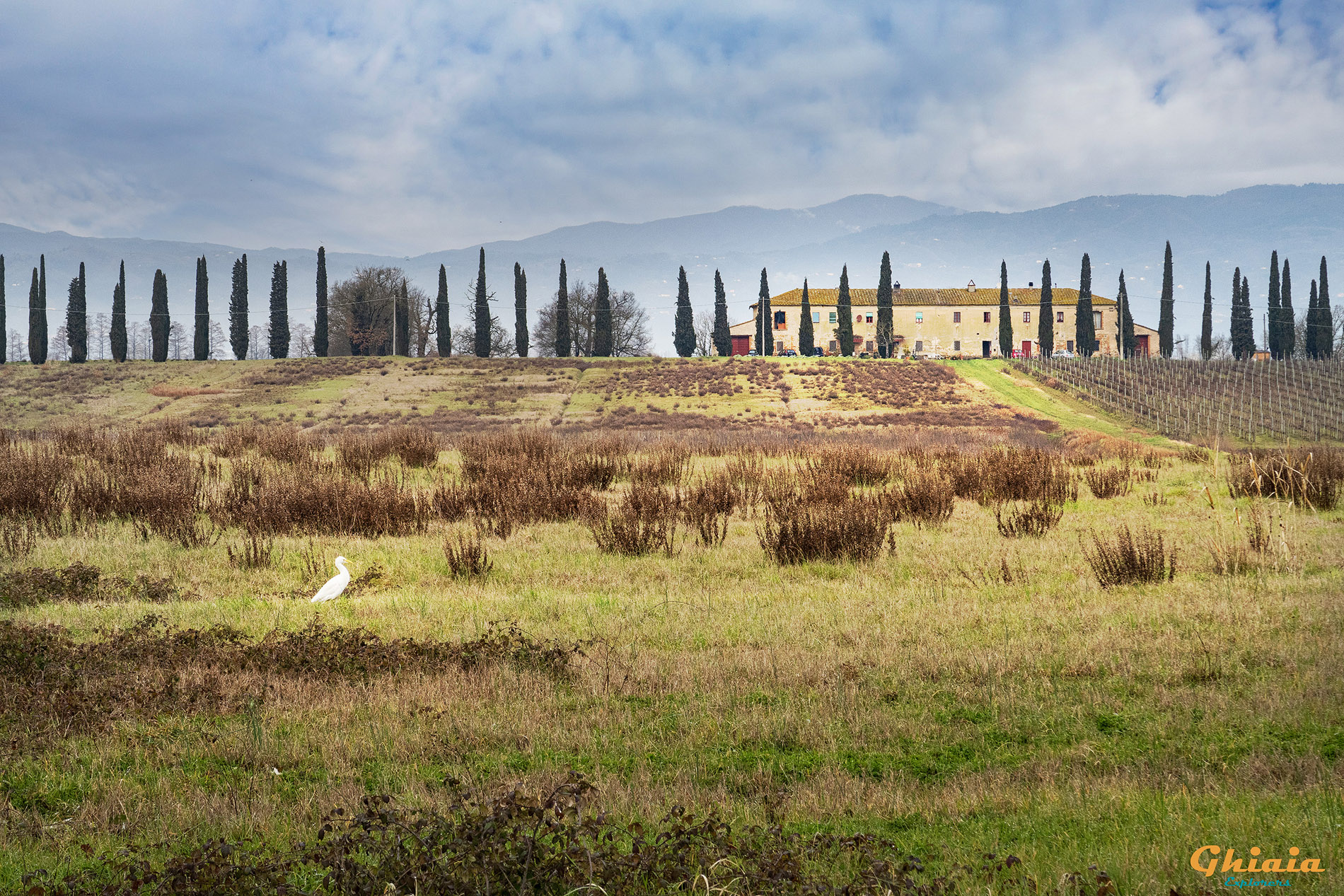 Padule di Fucecchio round Trail - gallery - photo 15