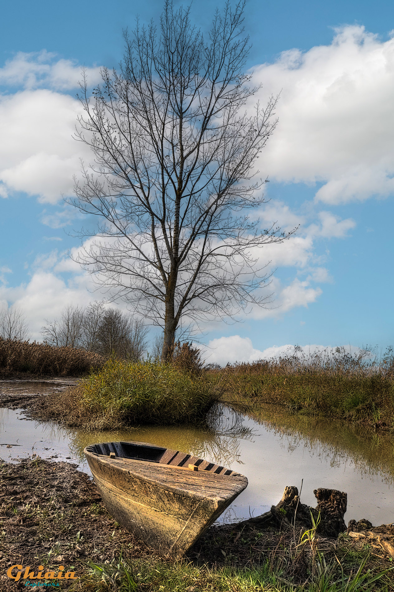 Padule di Fucecchio round Trail - gallery - photo 17