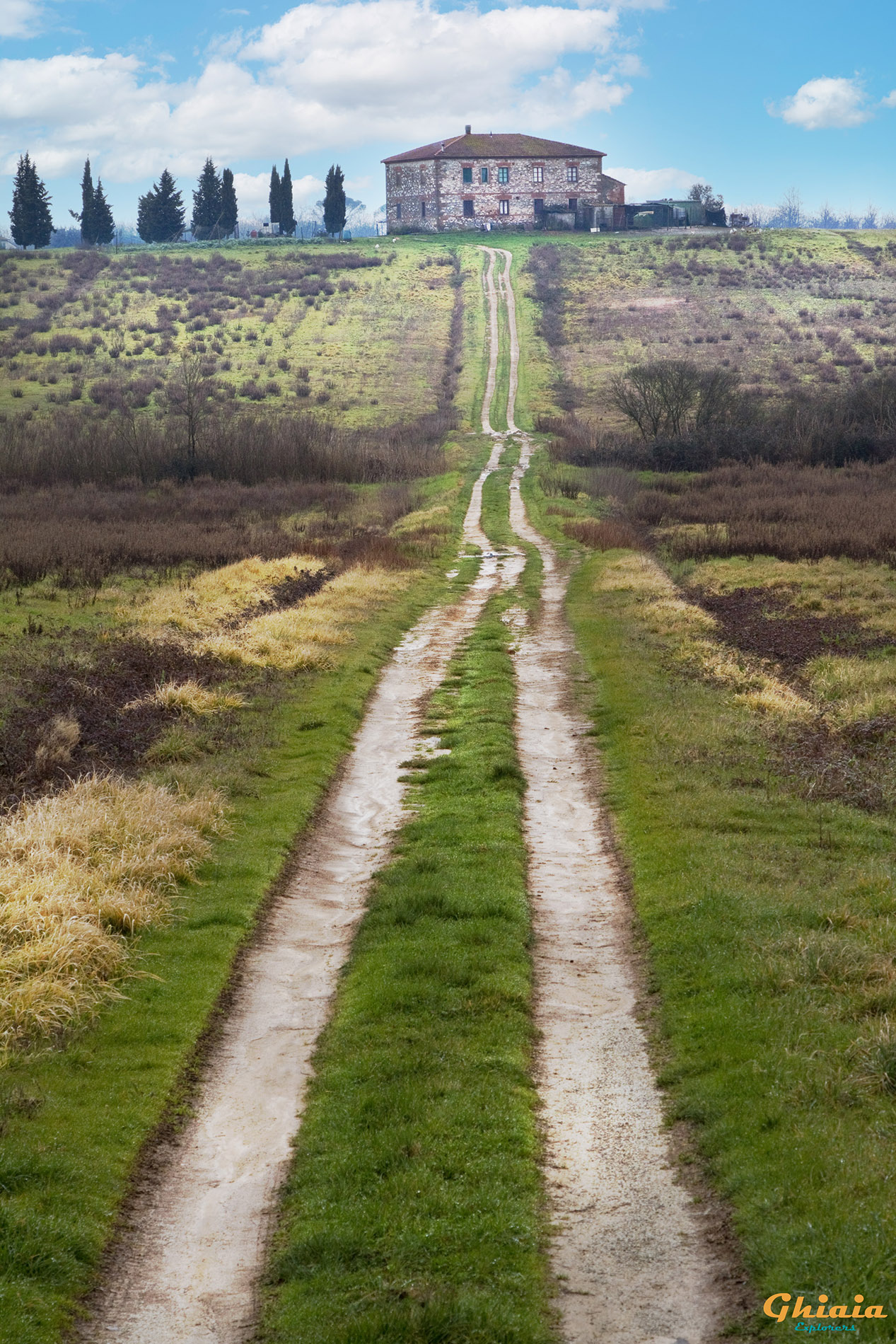 Padule di Fucecchio round Trail - gallery - photo 18