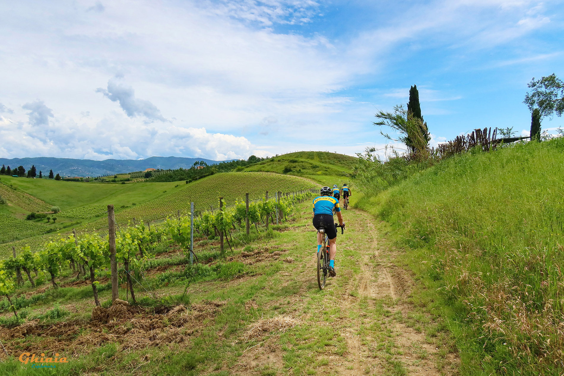 Padule di Fucecchio round Trail - gallery - photo 19