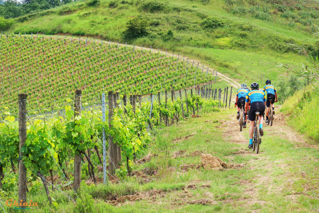 Padule di Fucecchio round Trail