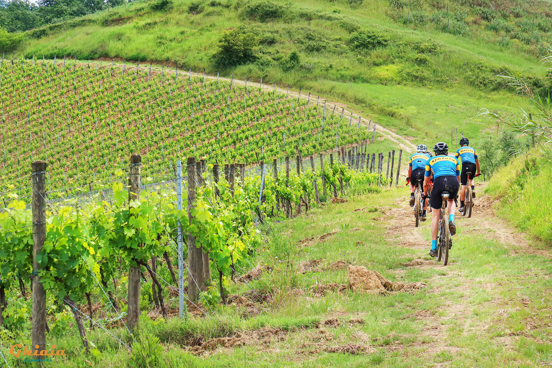 Padule di Fucecchio round Trail - gallery - photo 20