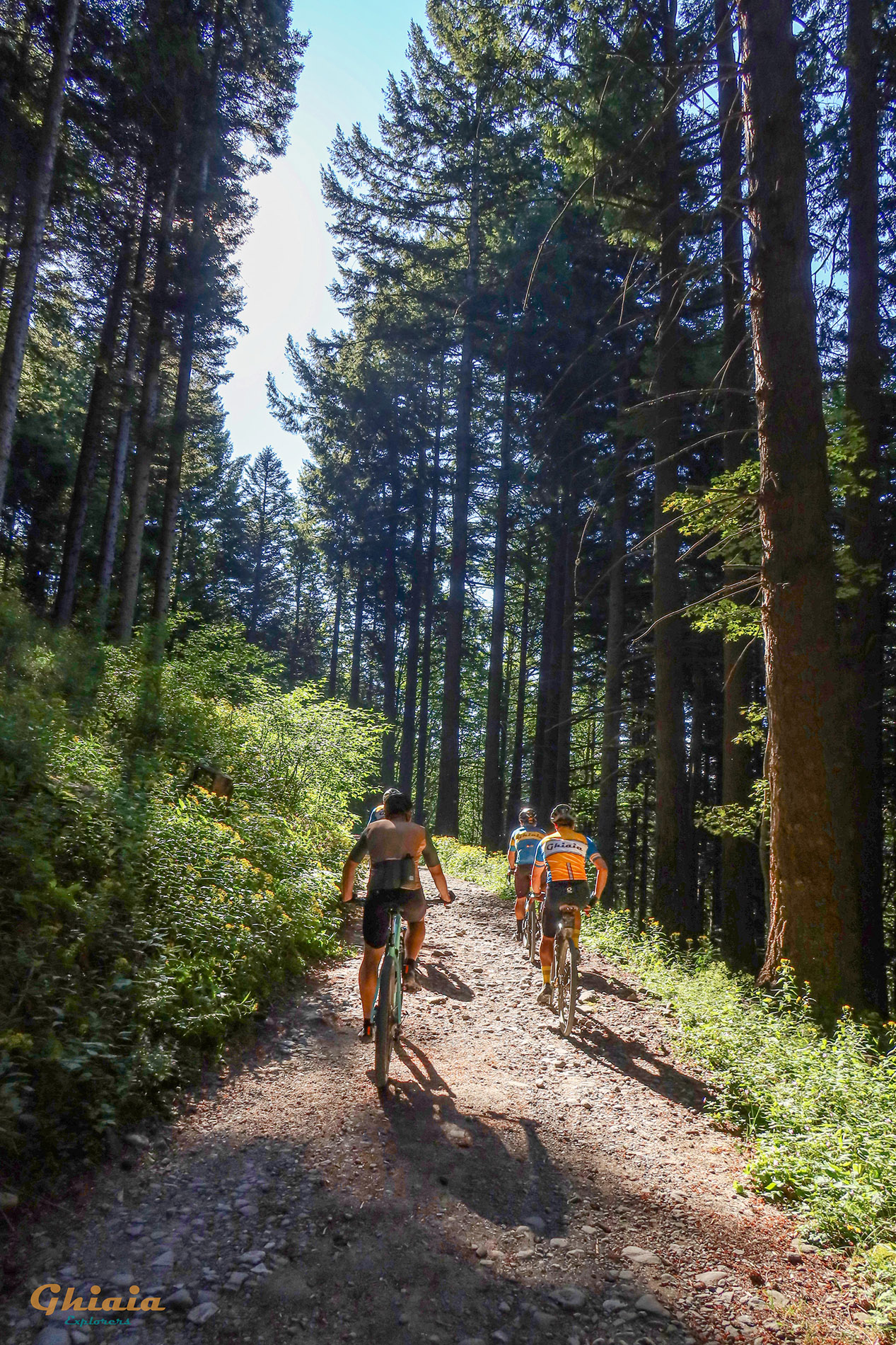 Casone di Profecchia Trail - gallery - photo 9