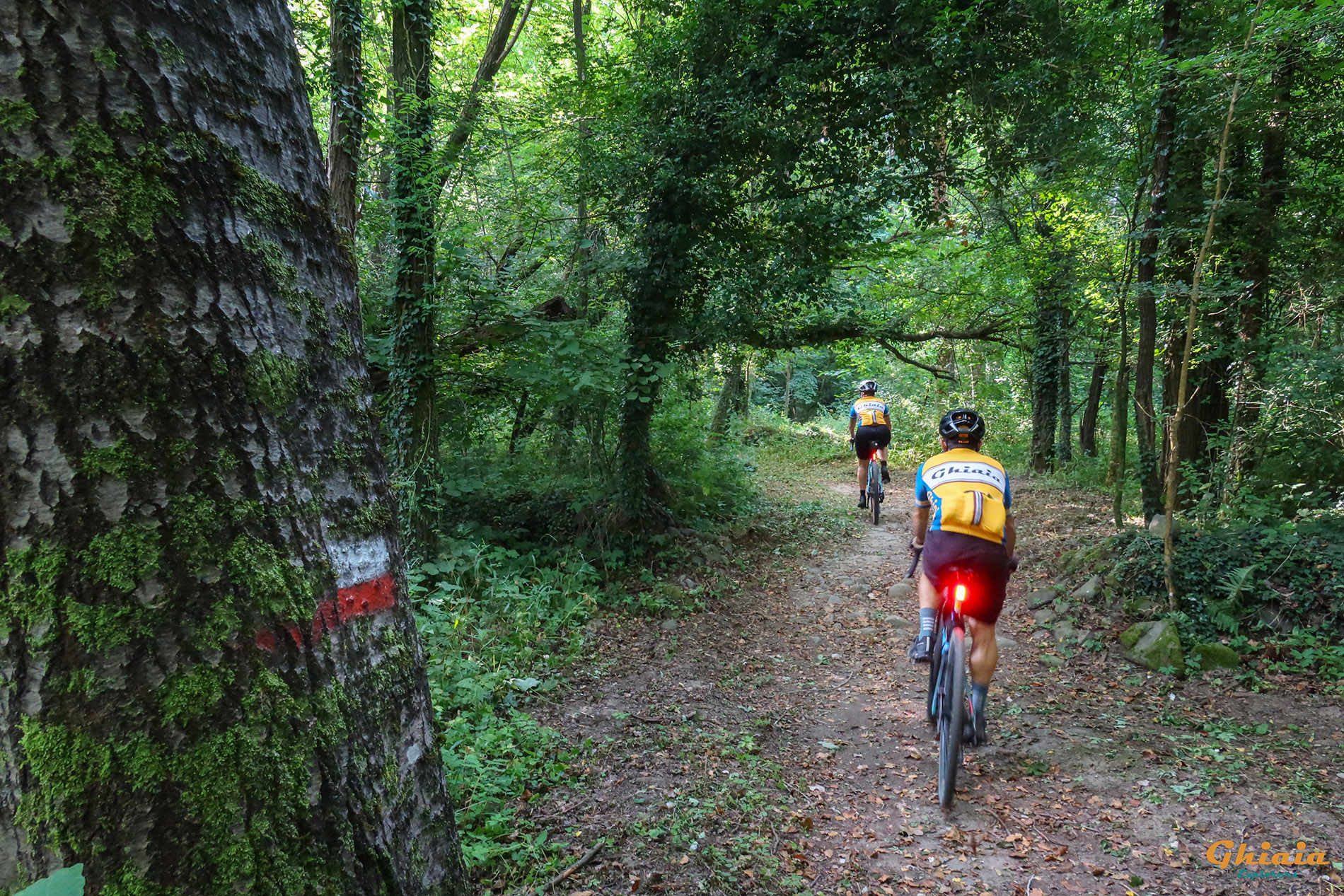 Orecchiella Trail - gallery - photo 5