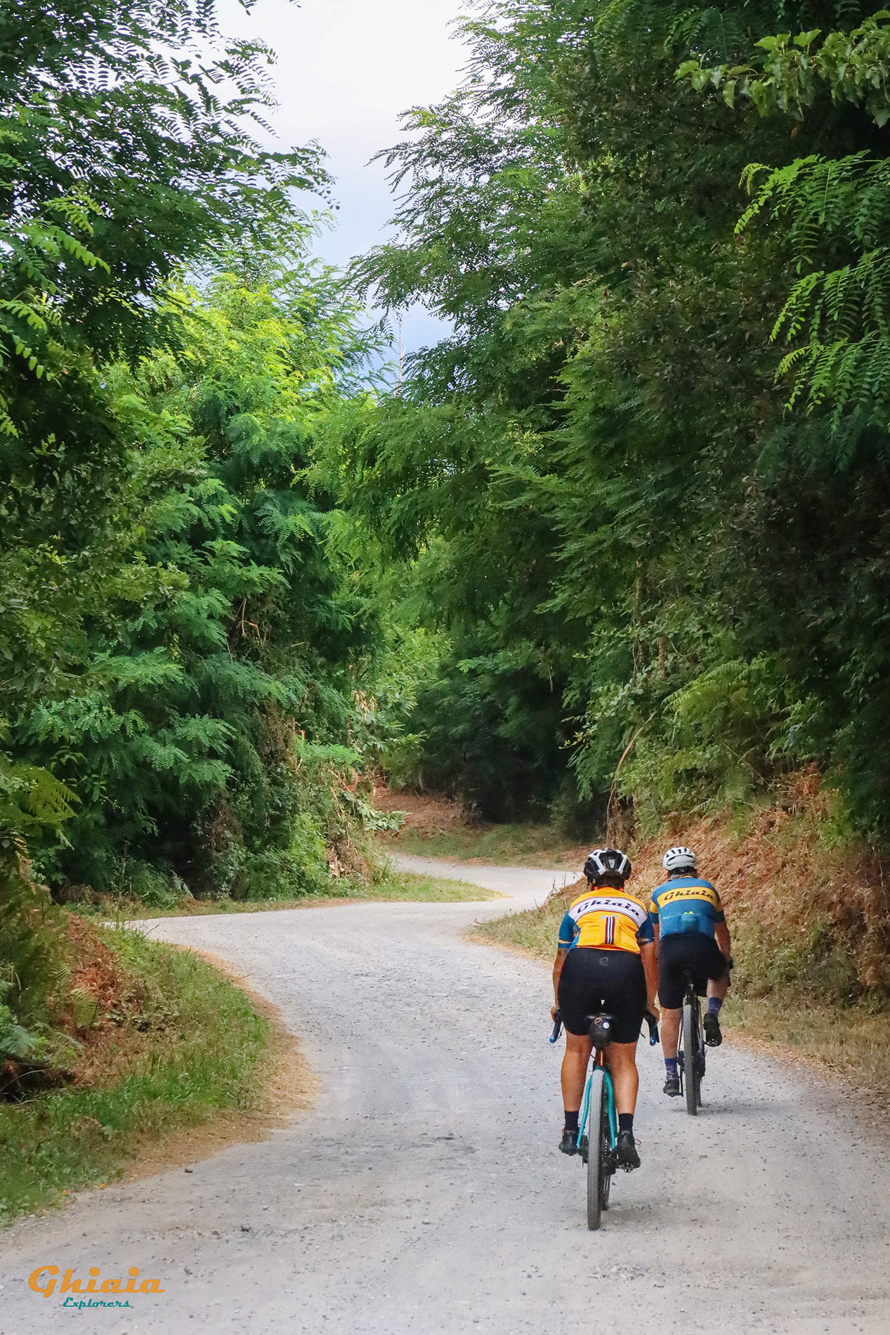 Orecchiella Trail - gallery - photo 1