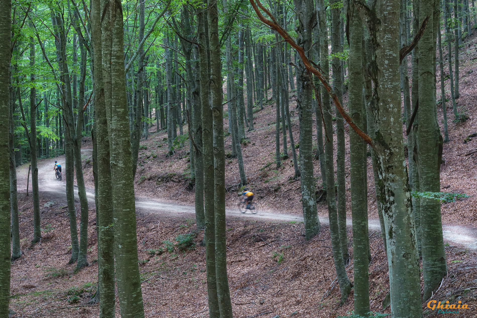 Orecchiella Trail - gallery - photo 15