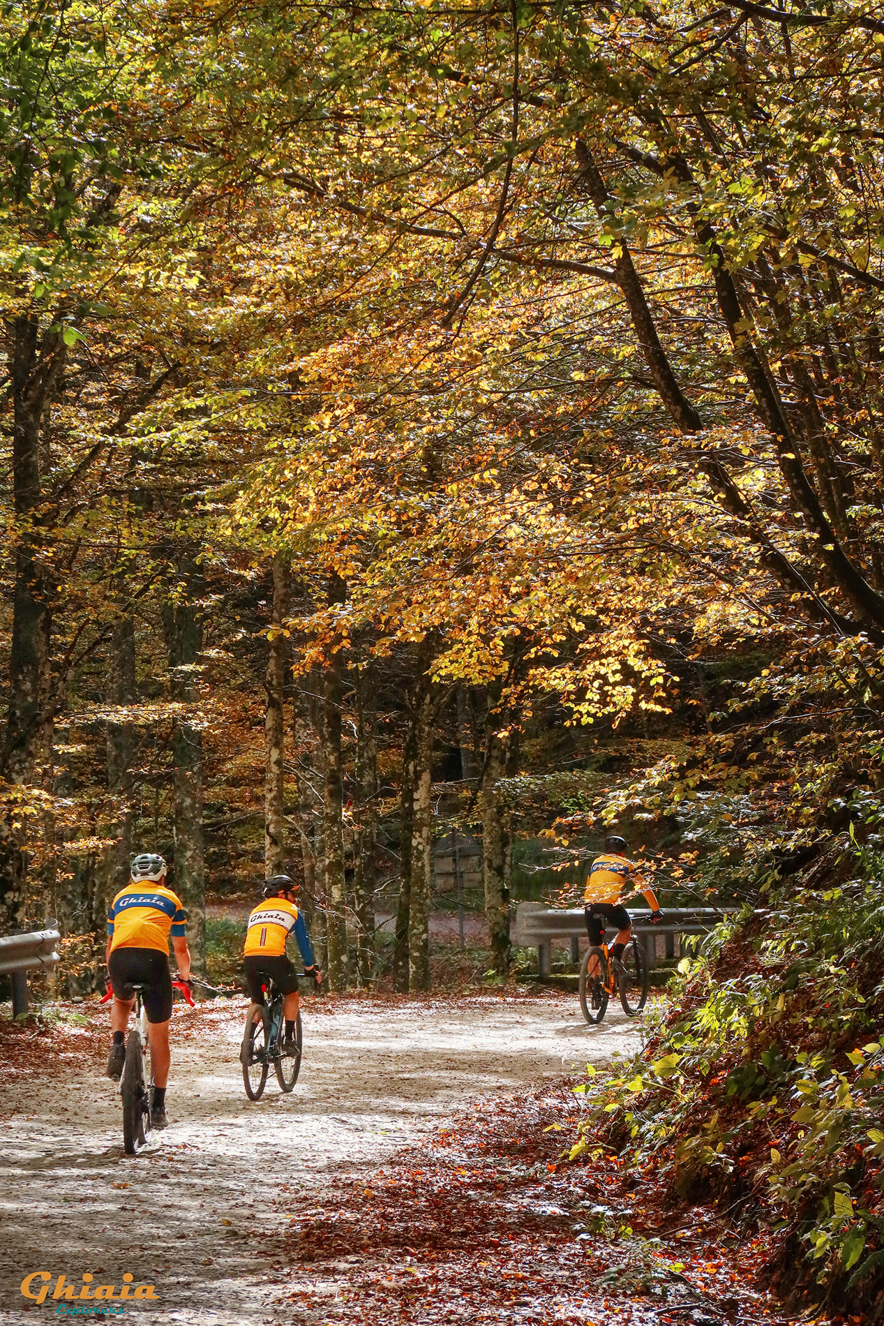 Camaldoli Trail - gallery - photo 20