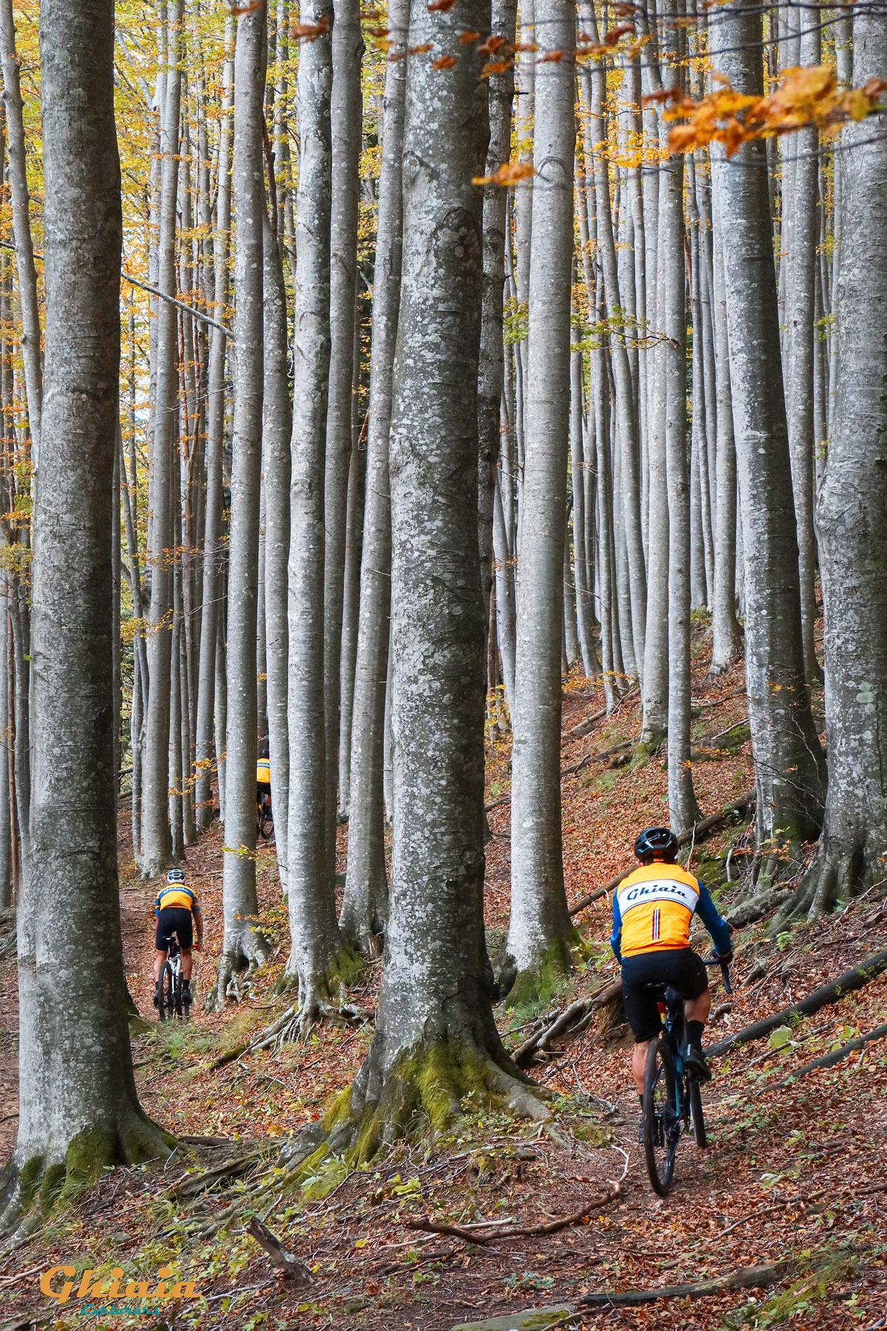 Camaldoli Trail - gallery - photo 25