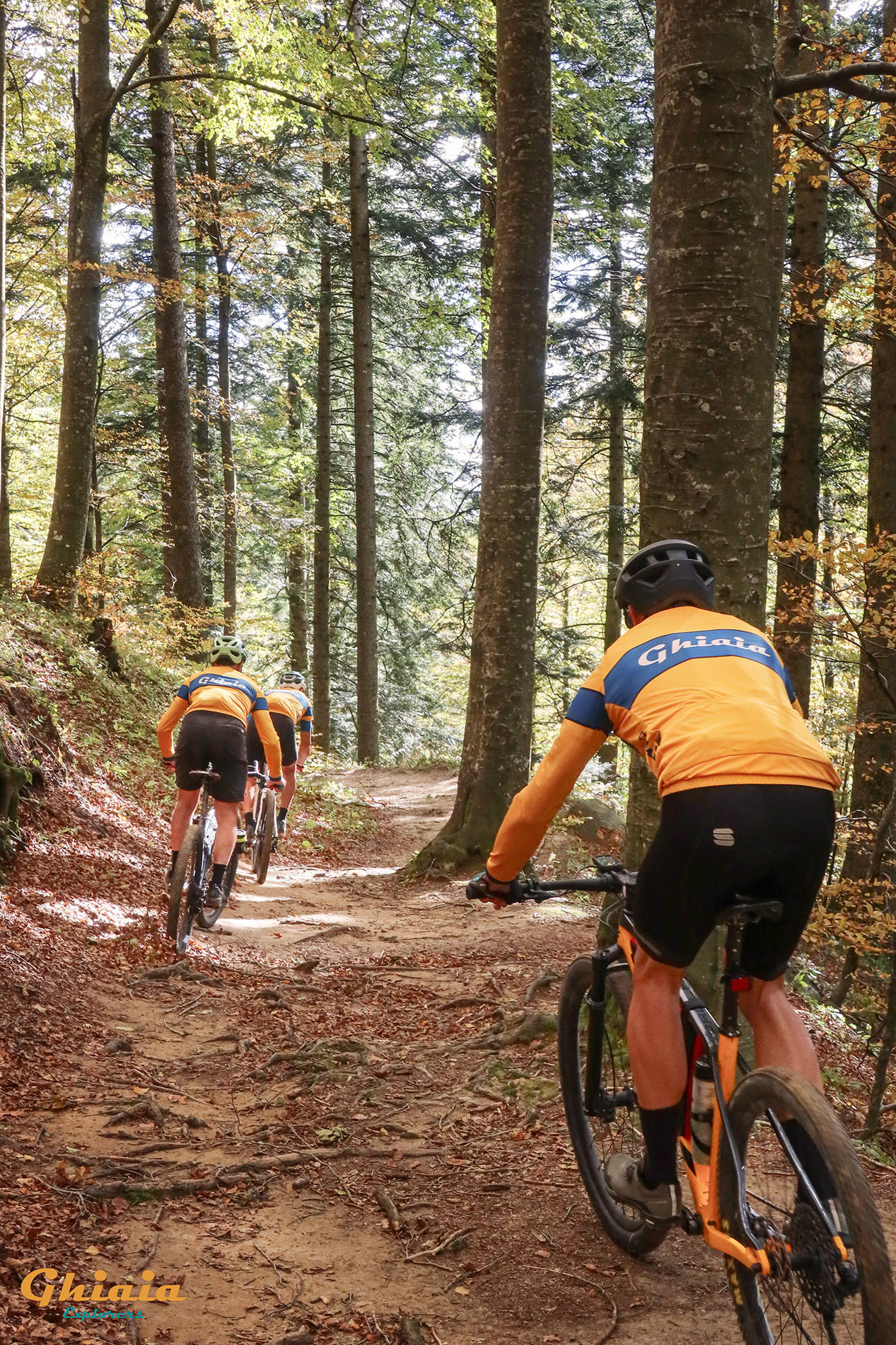 Camaldoli Trail - gallery - photo 29