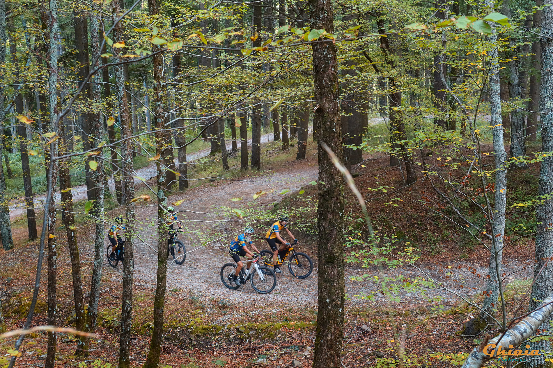 Camaldoli Trail - gallery - photo 8