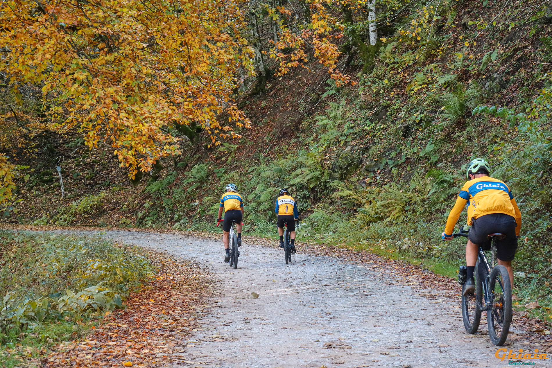 Camaldoli Trail - gallery - photo 16