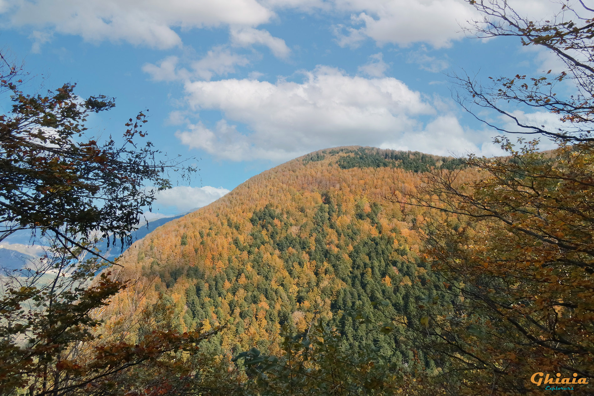 Camaldoli Trail - gallery - photo 17