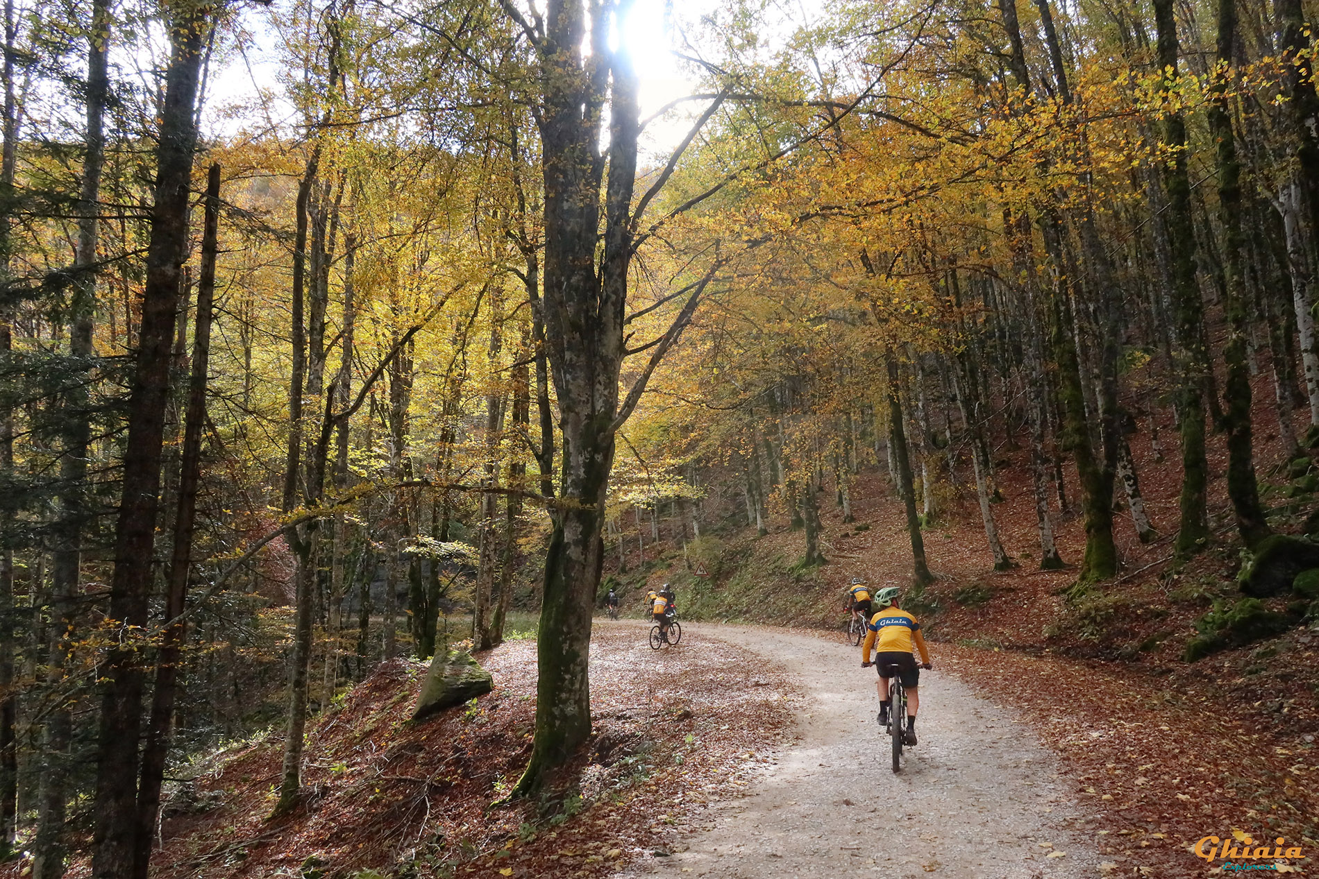 Camaldoli Trail - gallery - photo 18