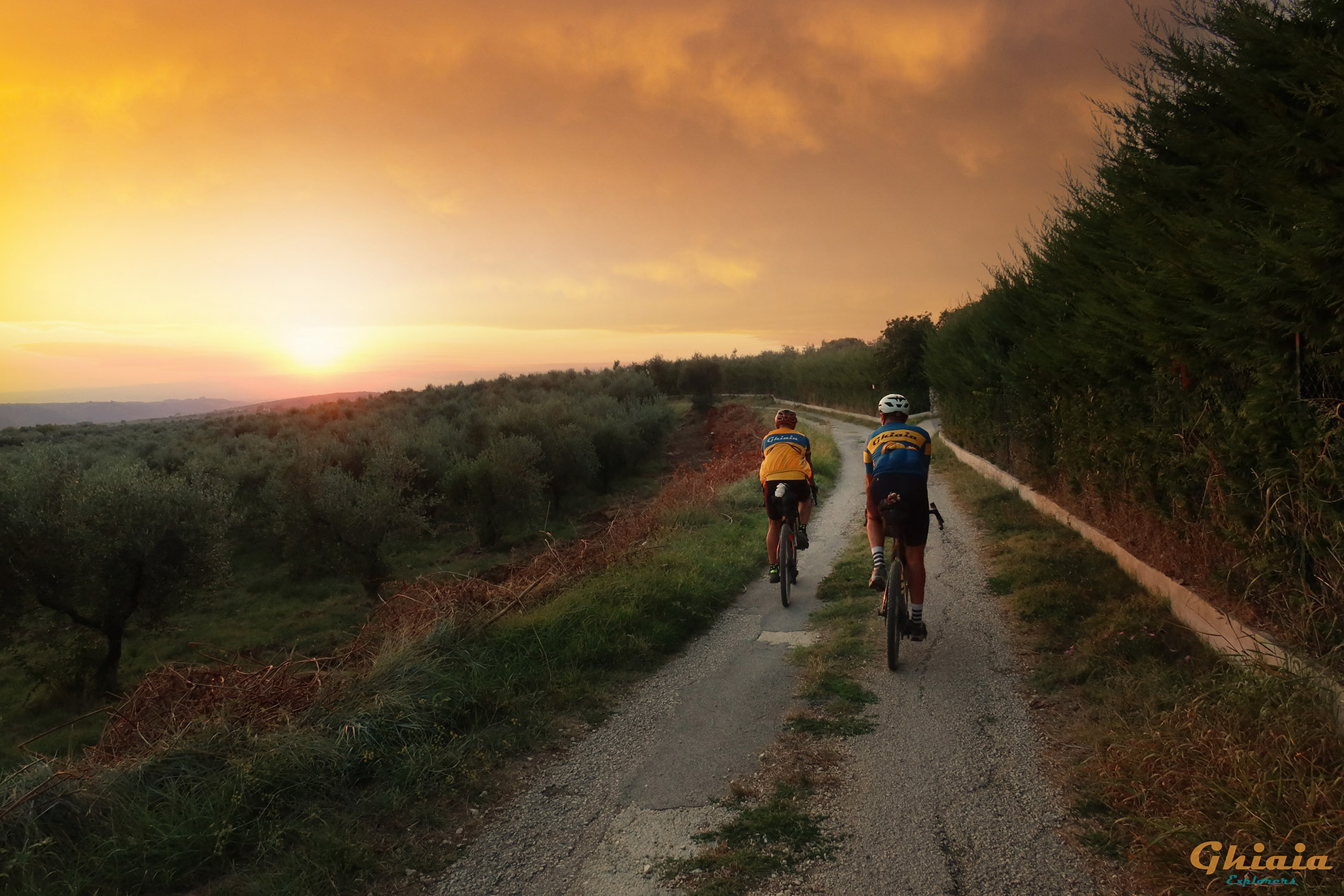 Francesco Trail 2 - gallery - photo 31