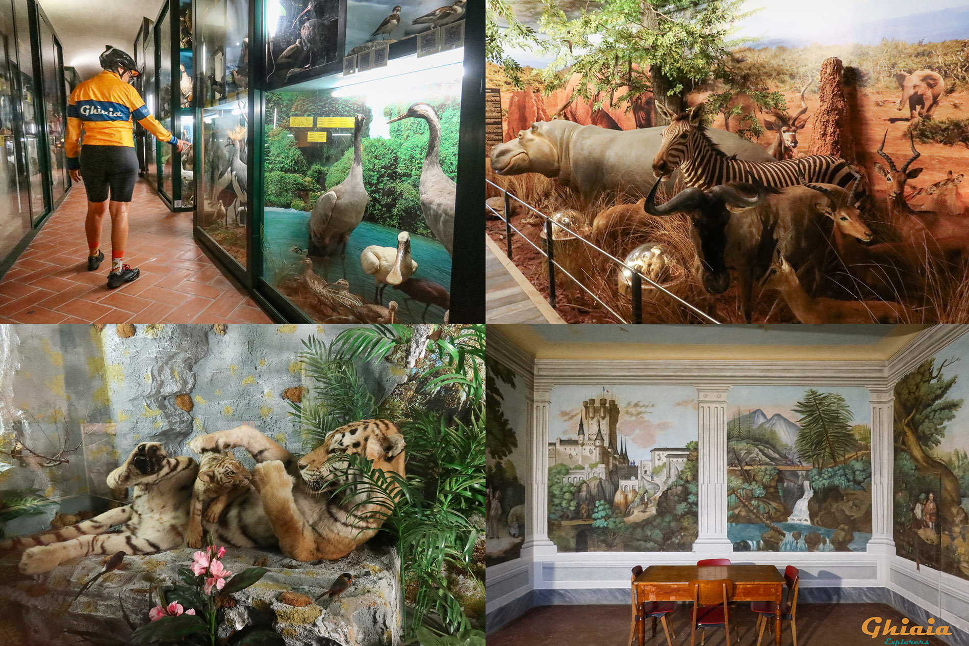 The Silence Trail - gallery - photo 27