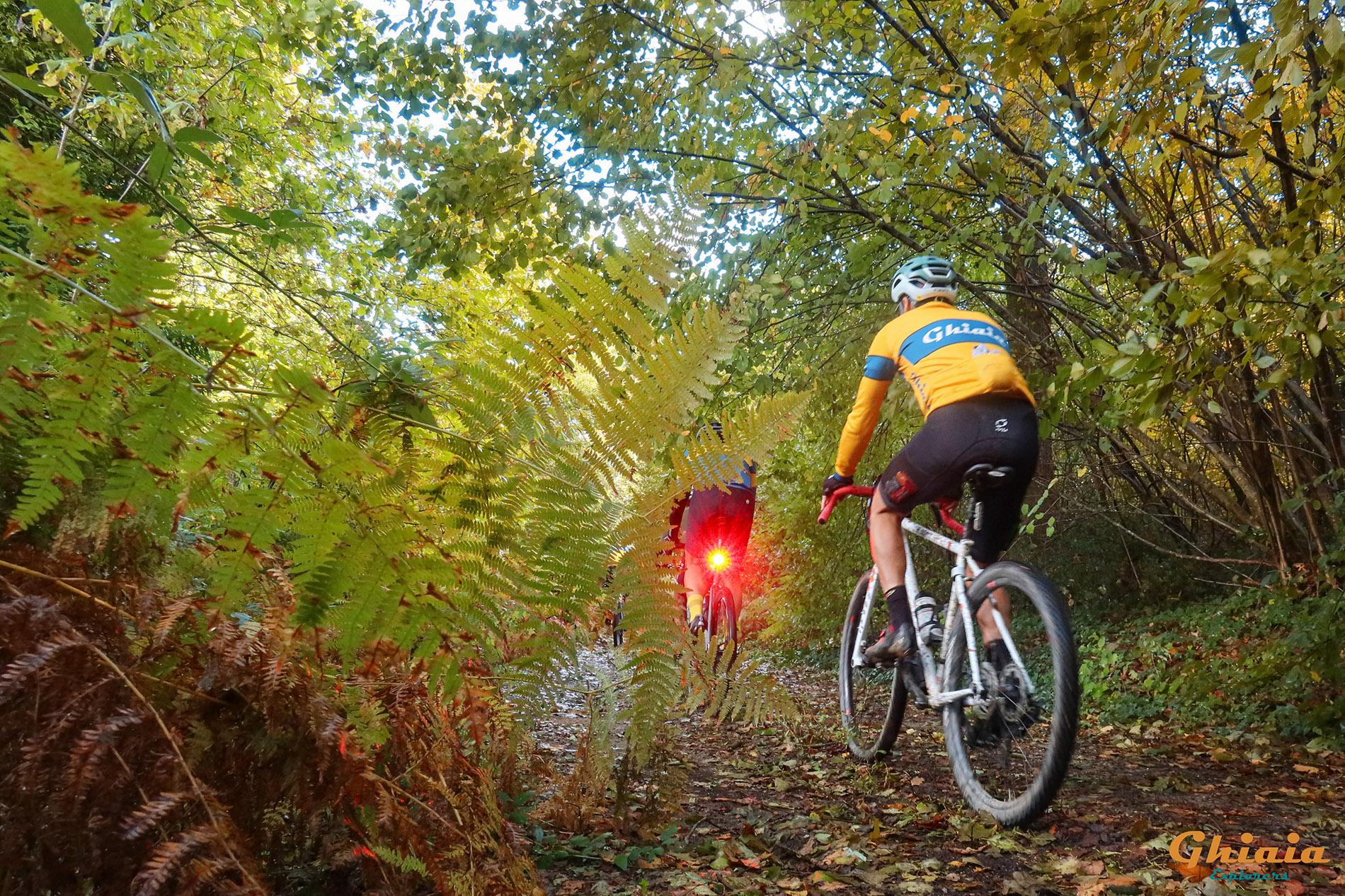 Waterlands Trail - gallery - photo 3