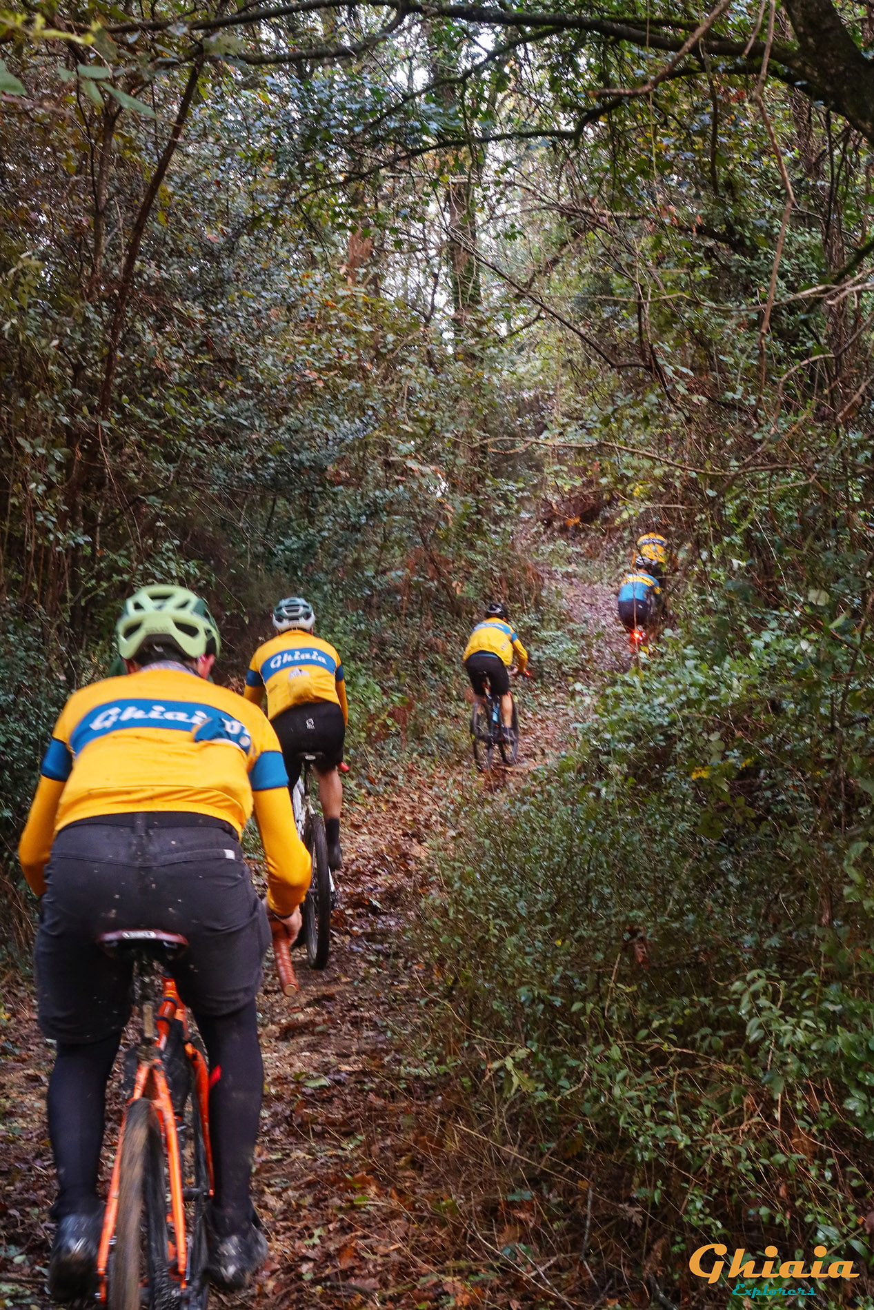 Waterlands Trail - gallery - photo 5