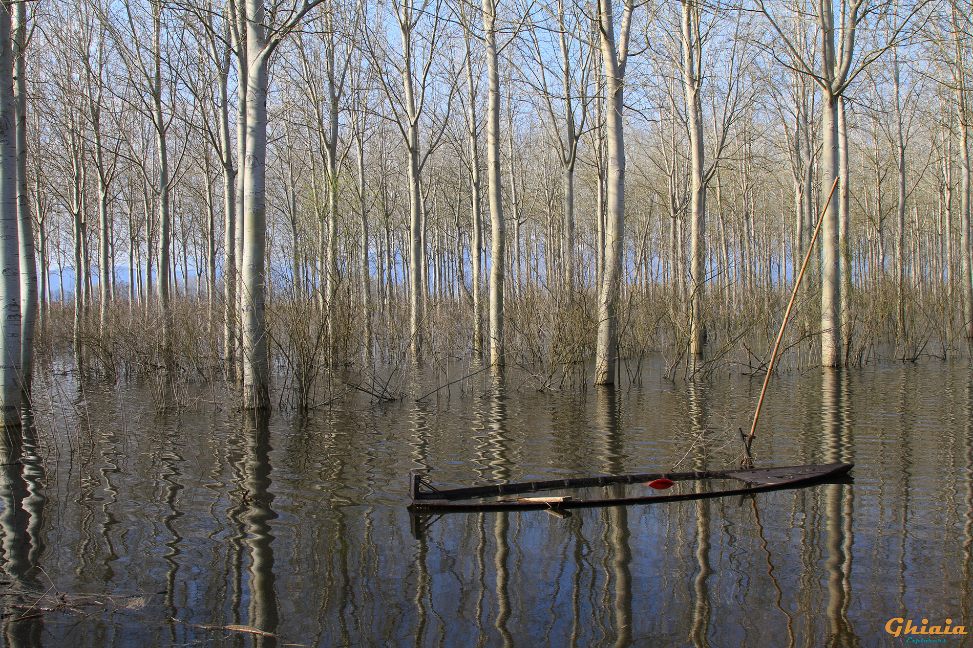 Waterlands Trail - gallery - photo 12